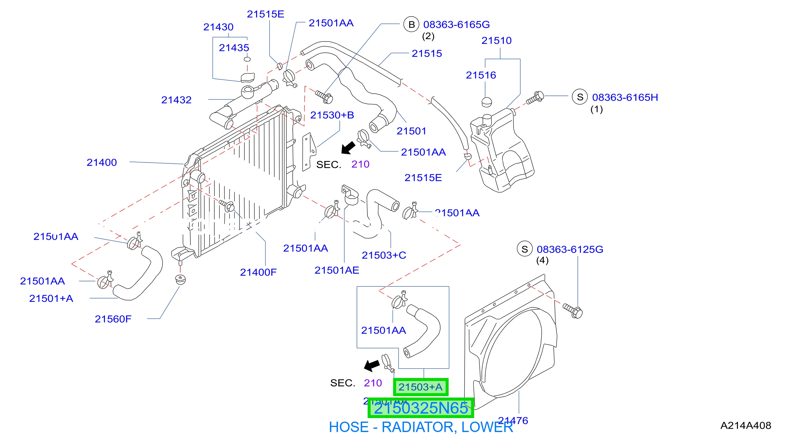 HOSE - RADIATOR, LOWER