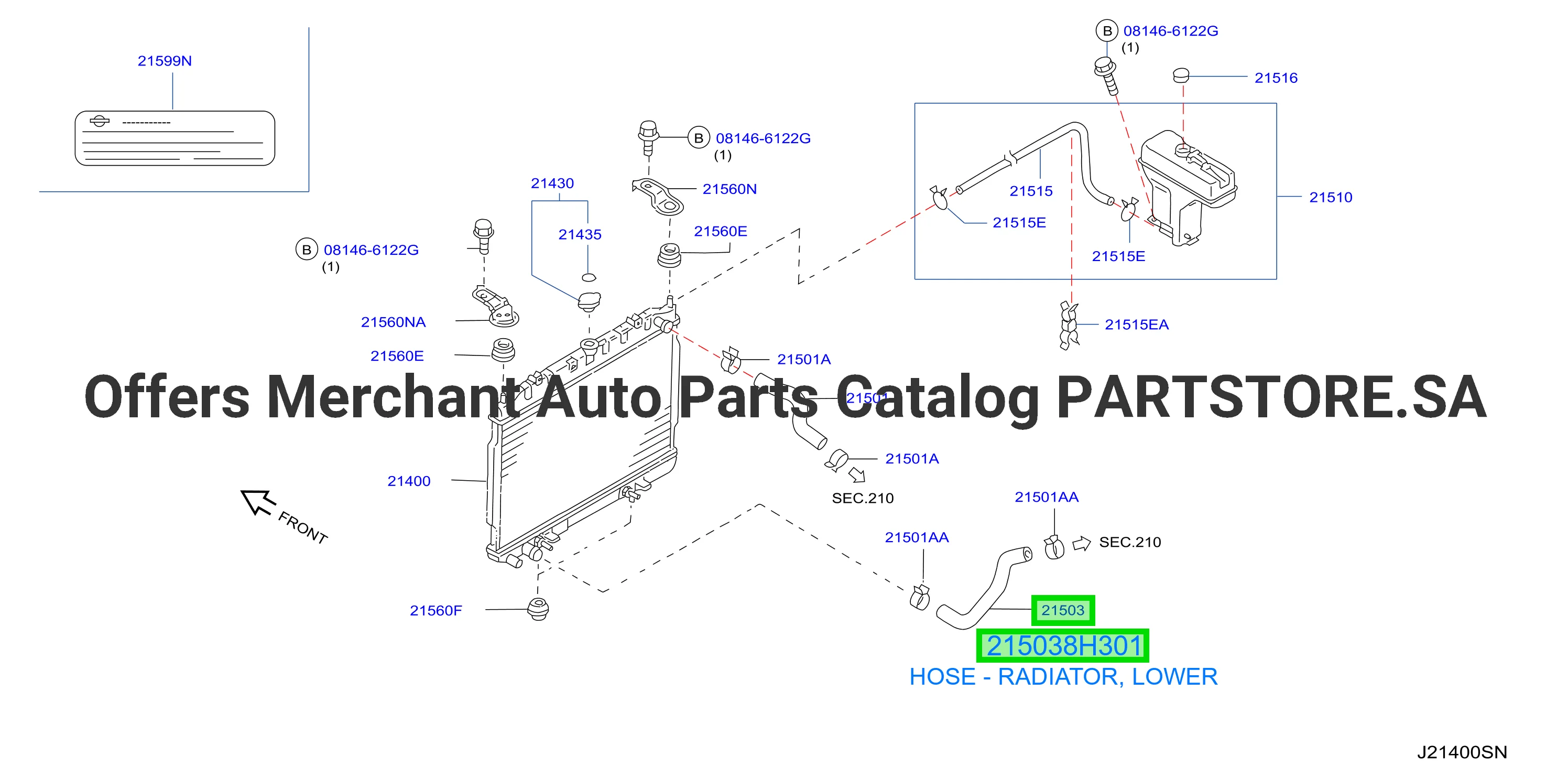 HOSE - RADIATOR, LOWER