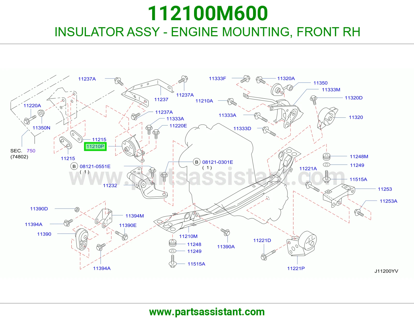 INSULATOR ASSY - ENGINE MOUNTING, FRONT RH