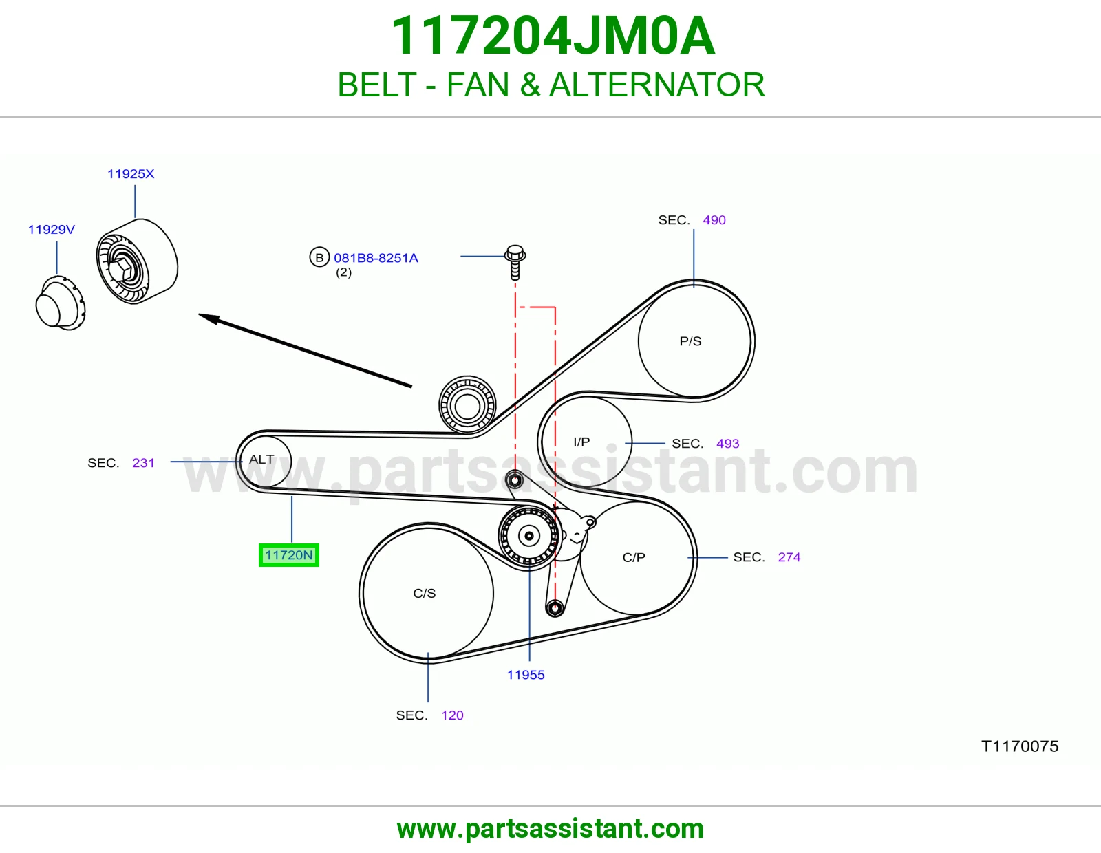 BELT - FAN & ALTERNATOR