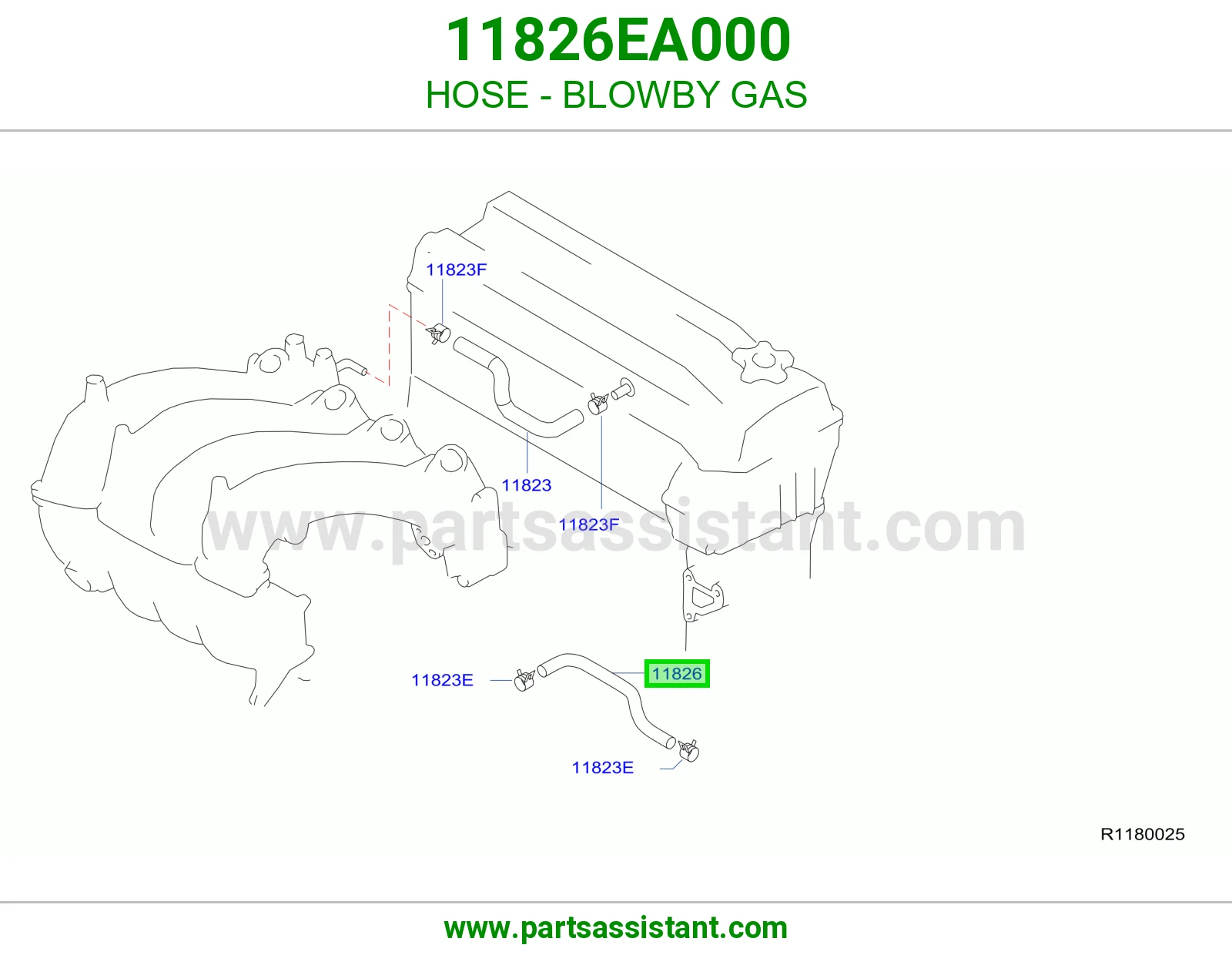 HOSE - BLOWBY GAS