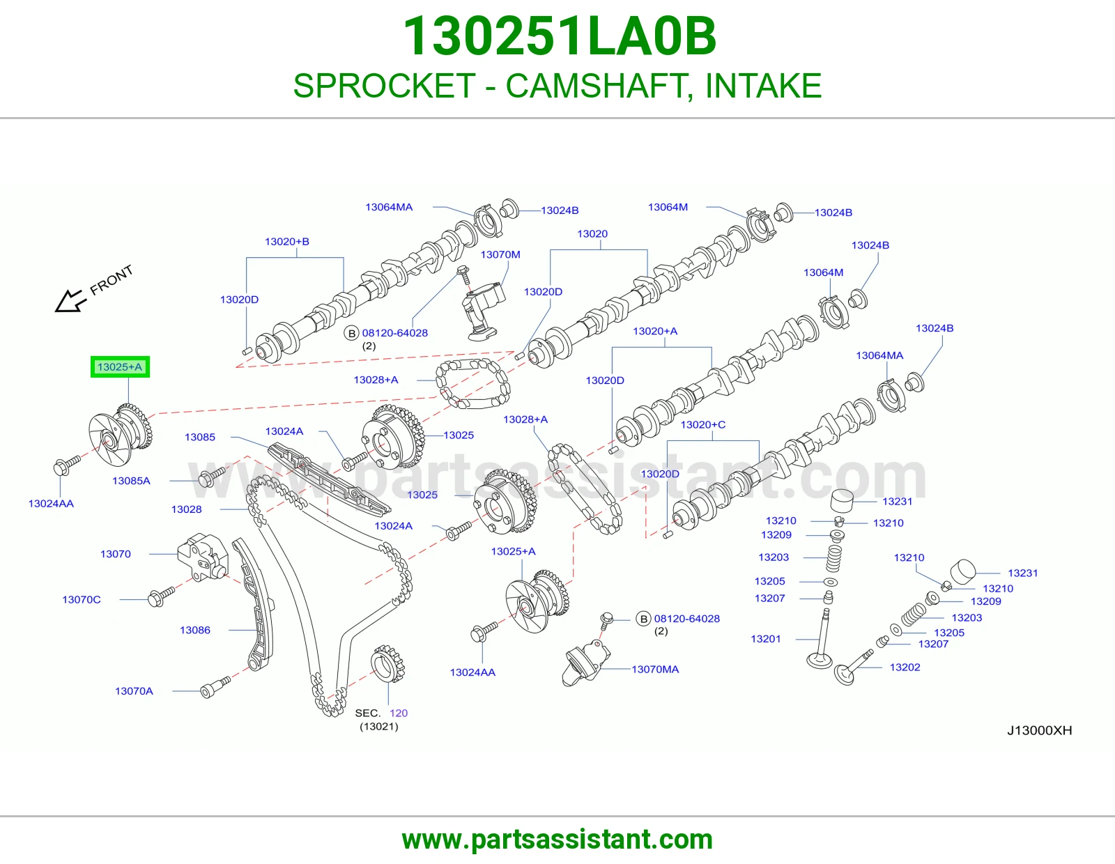 SPROCKET - CAMSHAFT, INTAKE