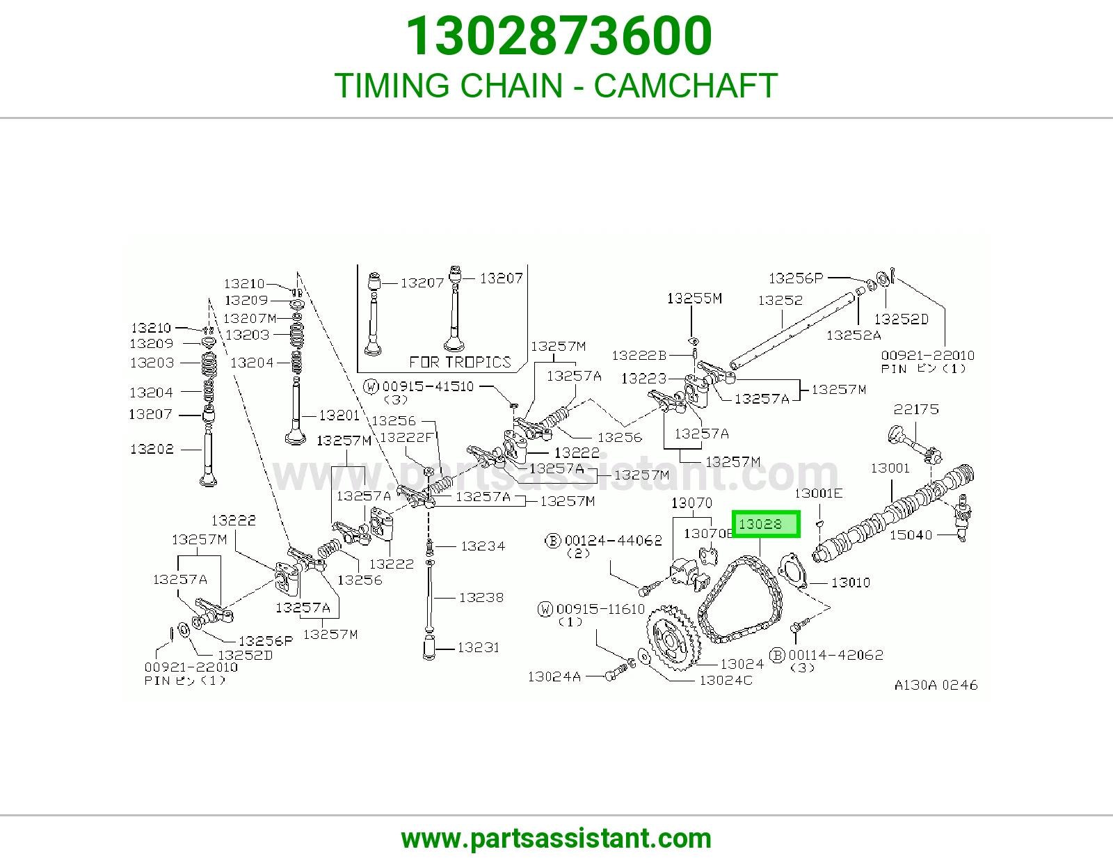 TIMING CHAIN - CAMCHAFT