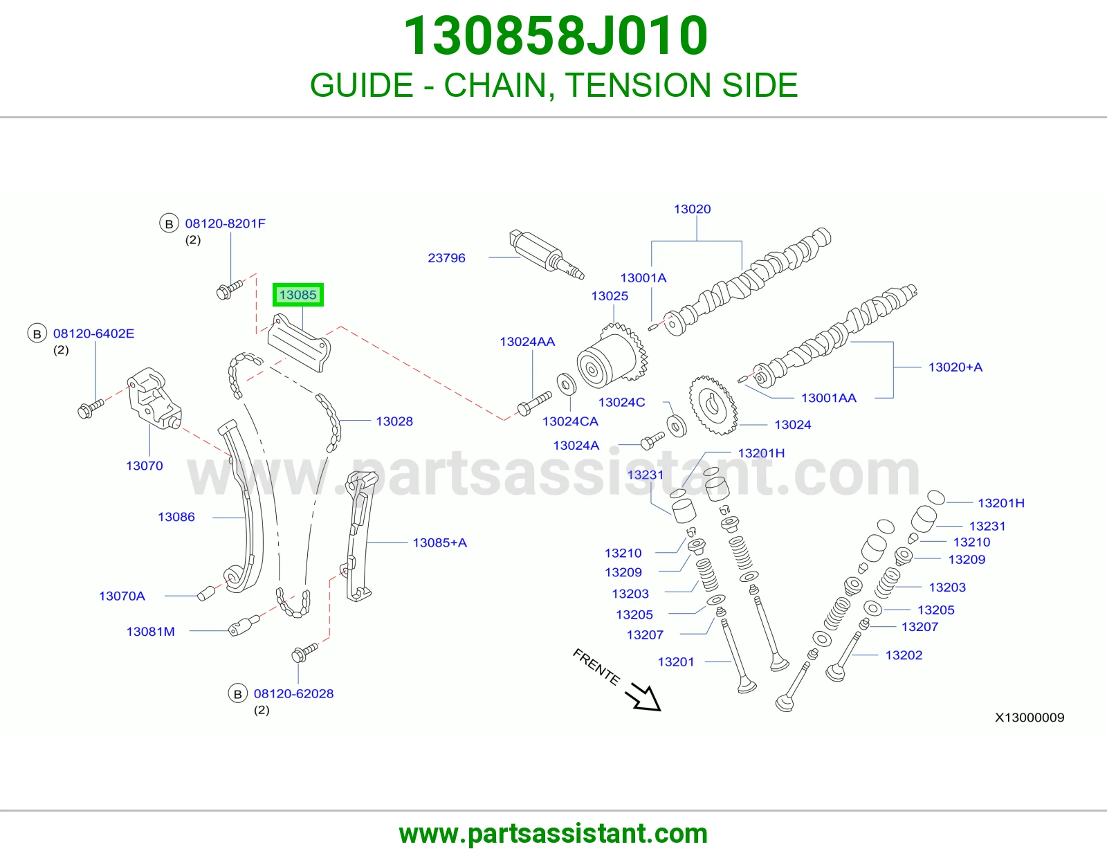 GUIDE - CHAIN, TENSION SIDE