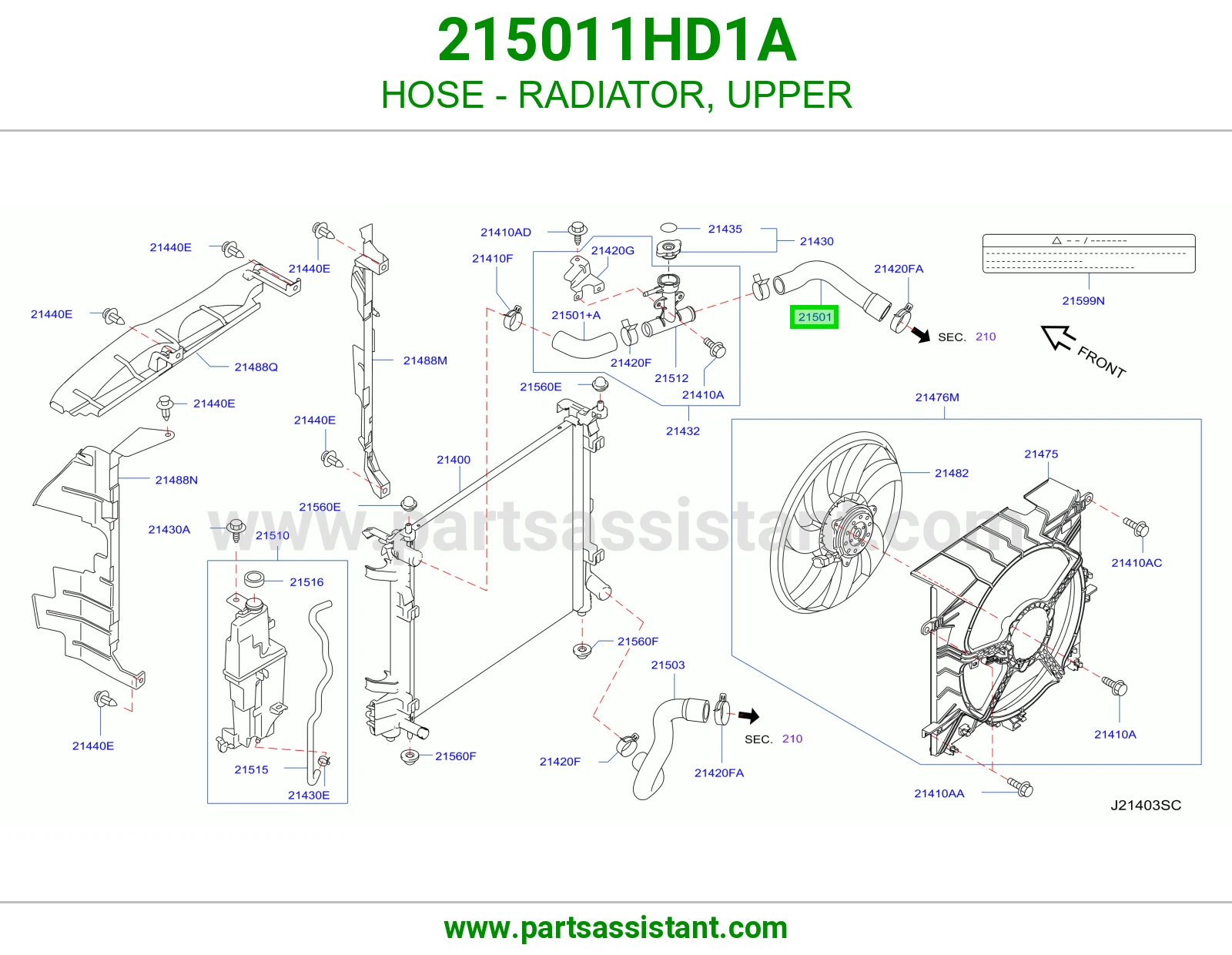 HOSE - RADIATOR, UPPER