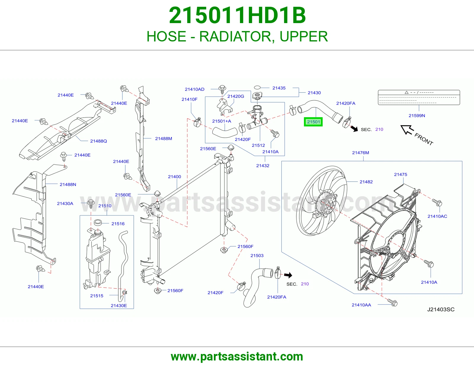 HOSE - RADIATOR, UPPER