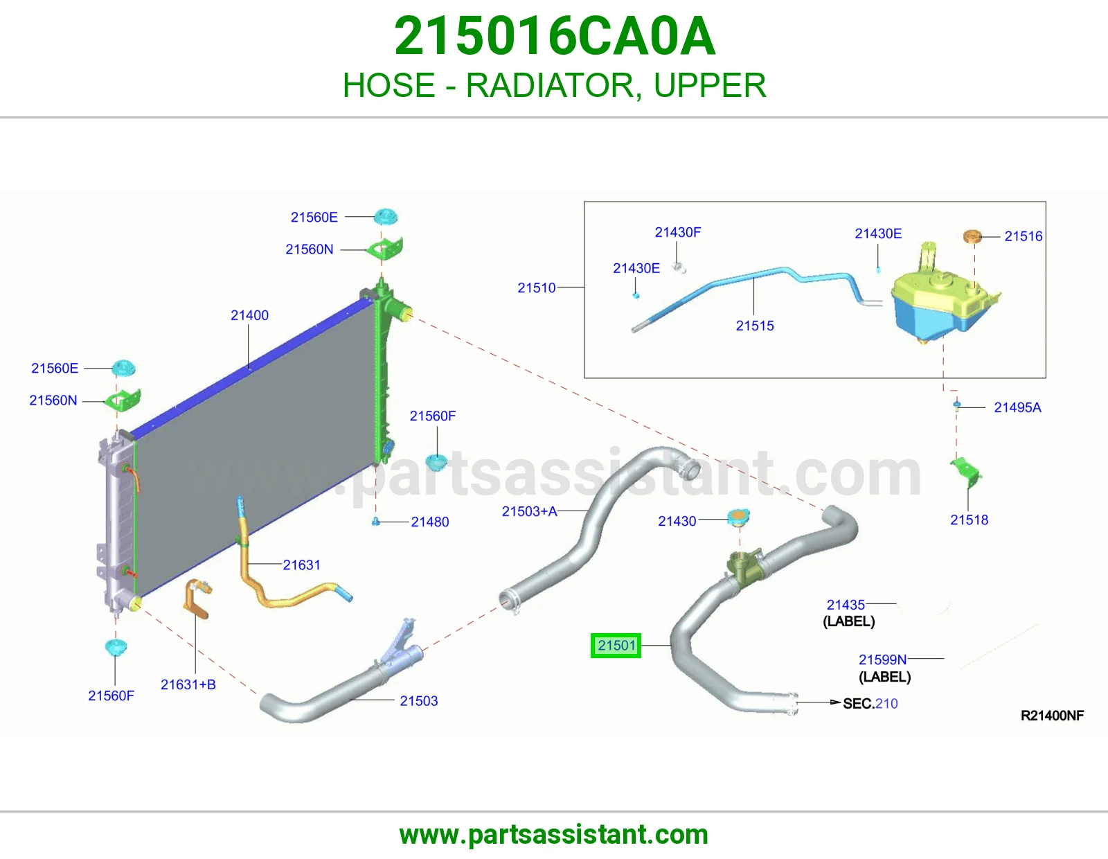 HOSE - RADIATOR, UPPER