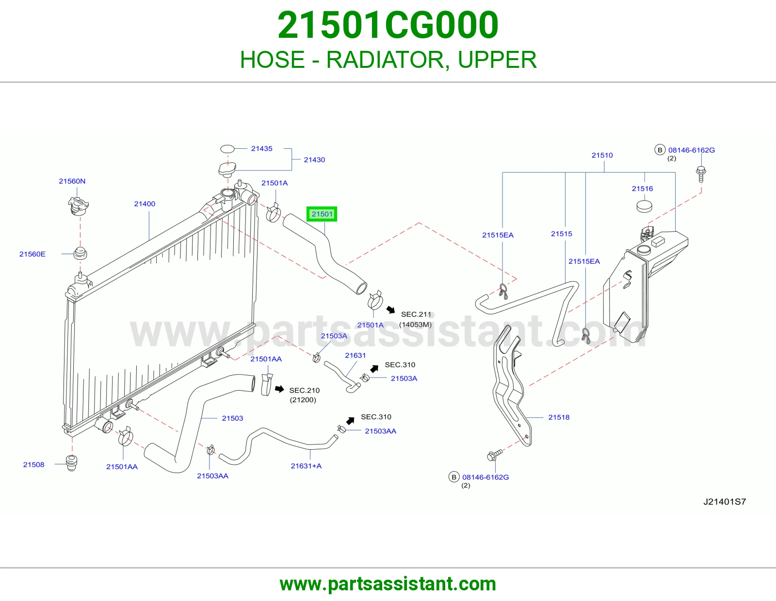 HOSE - RADIATOR, UPPER