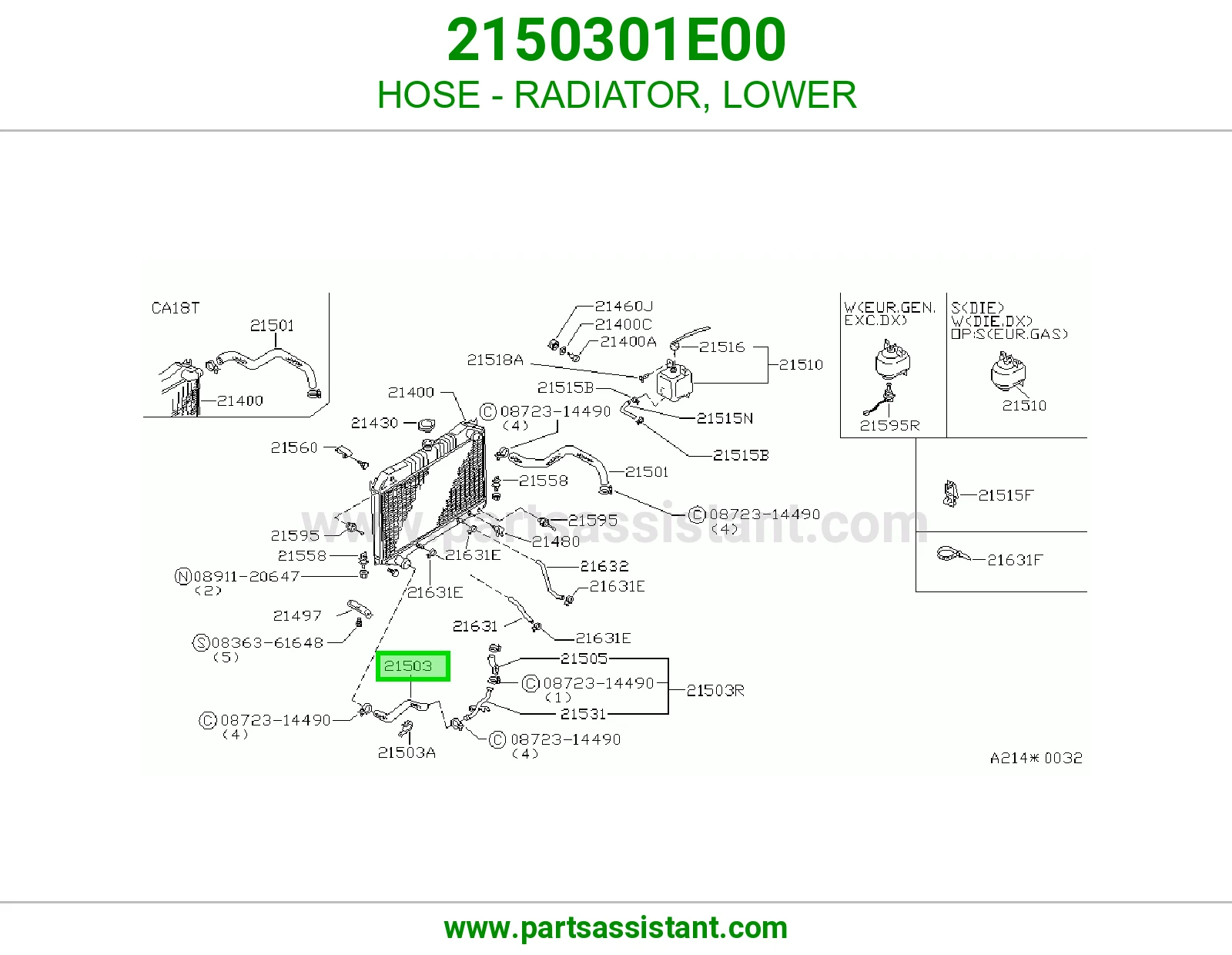 HOSE - RADIATOR, LOWER