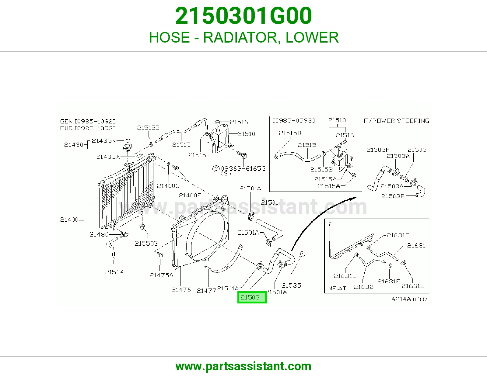 HOSE - RADIATOR, LOWER