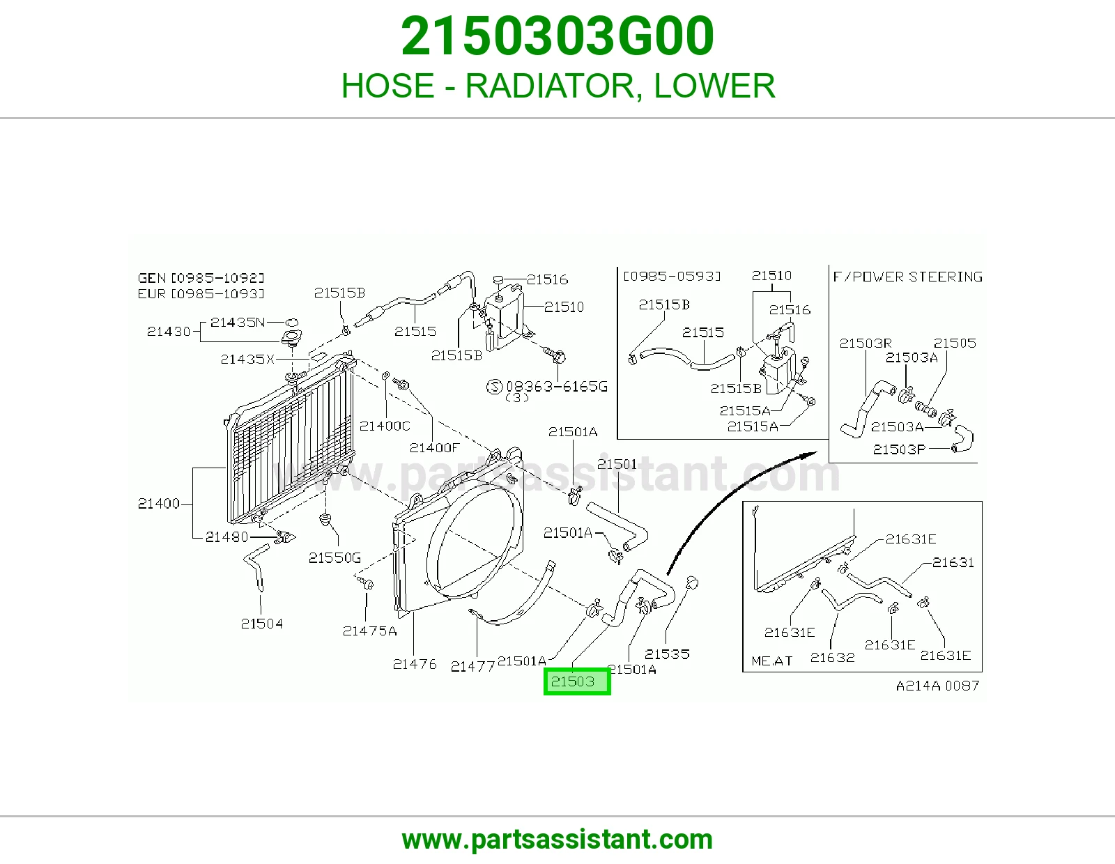 HOSE - RADIATOR, LOWER