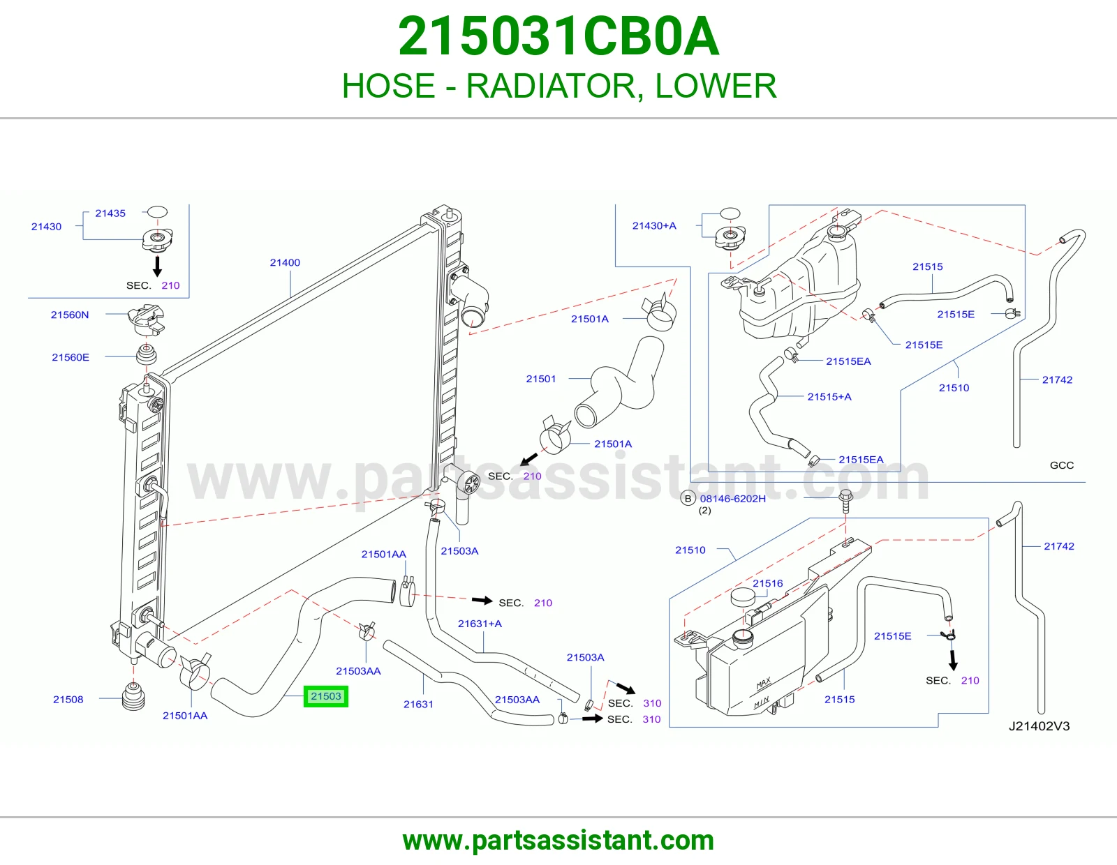HOSE - RADIATOR, LOWER