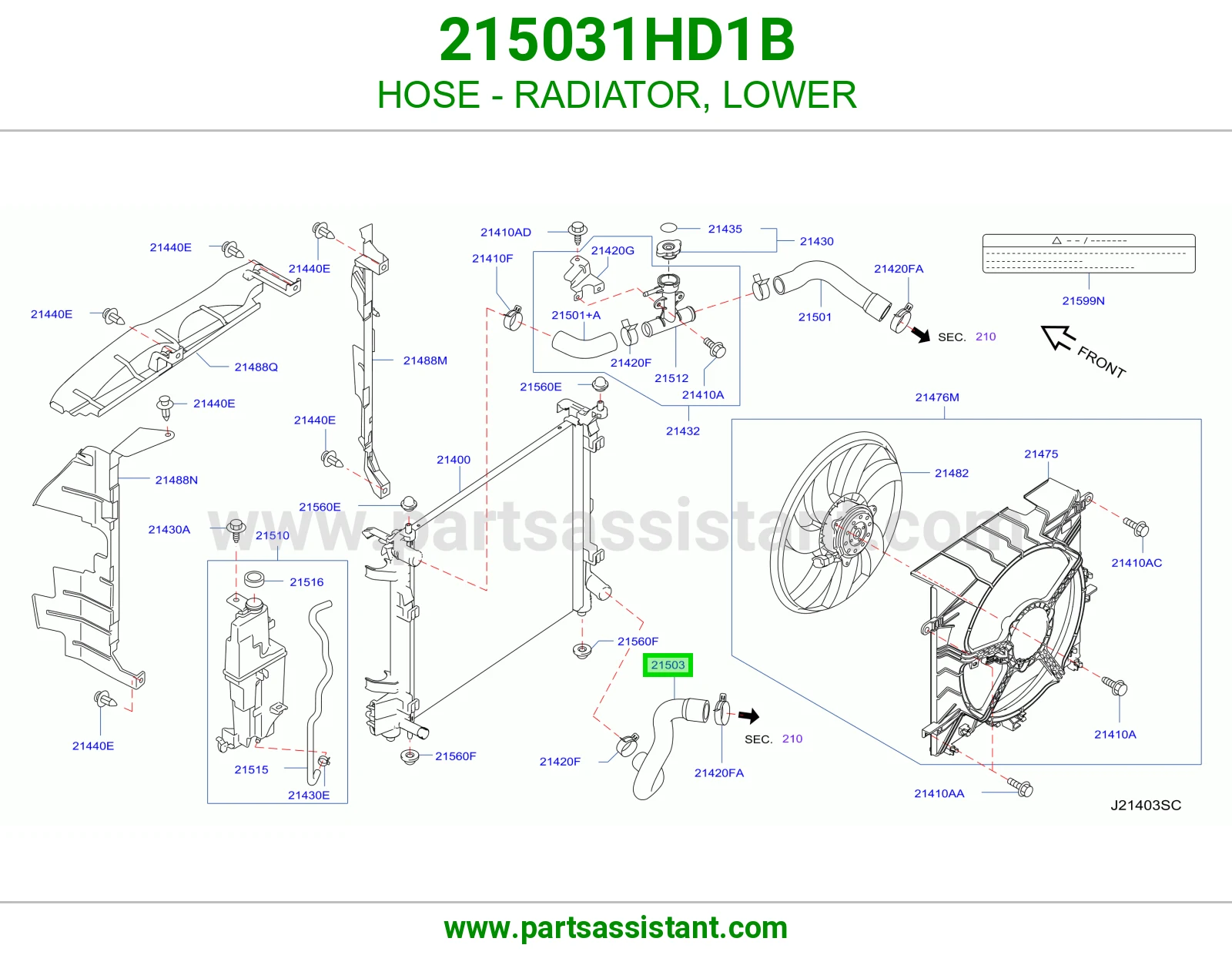 HOSE - RADIATOR, LOWER