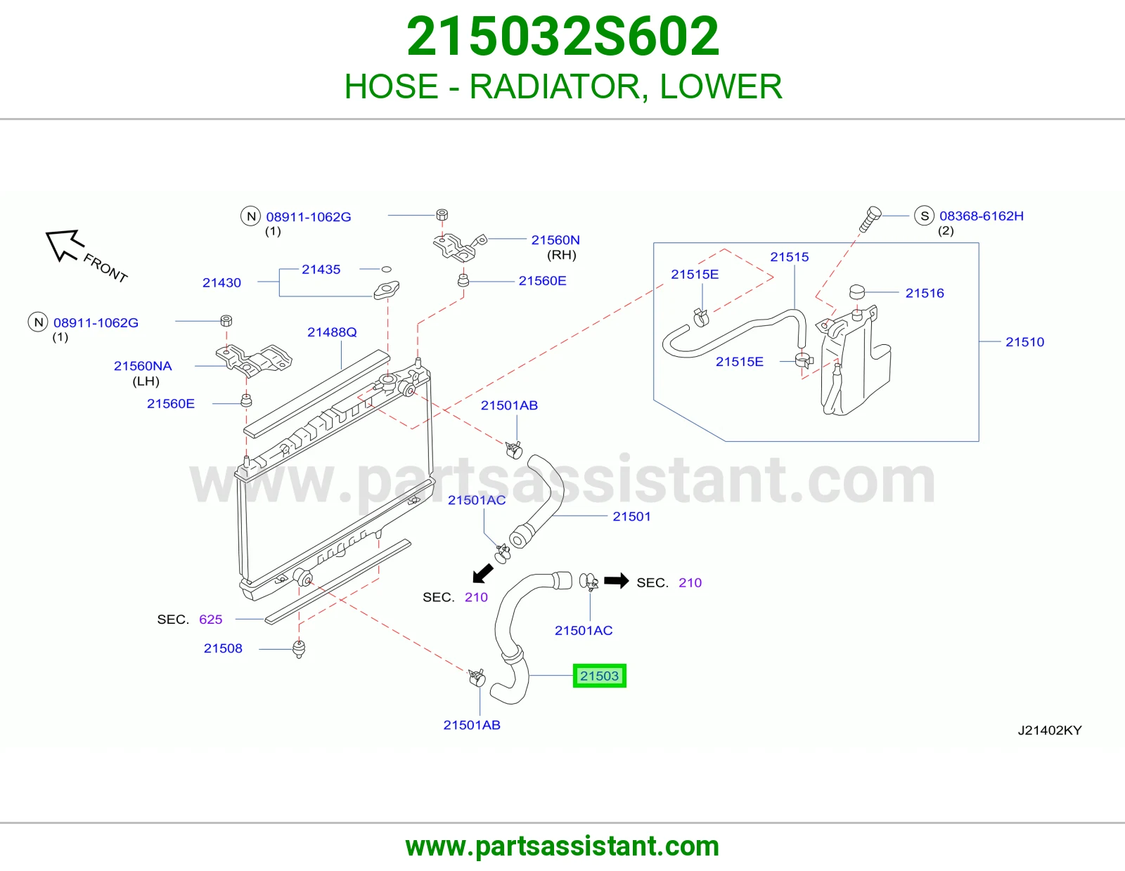 HOSE - RADIATOR, LOWER