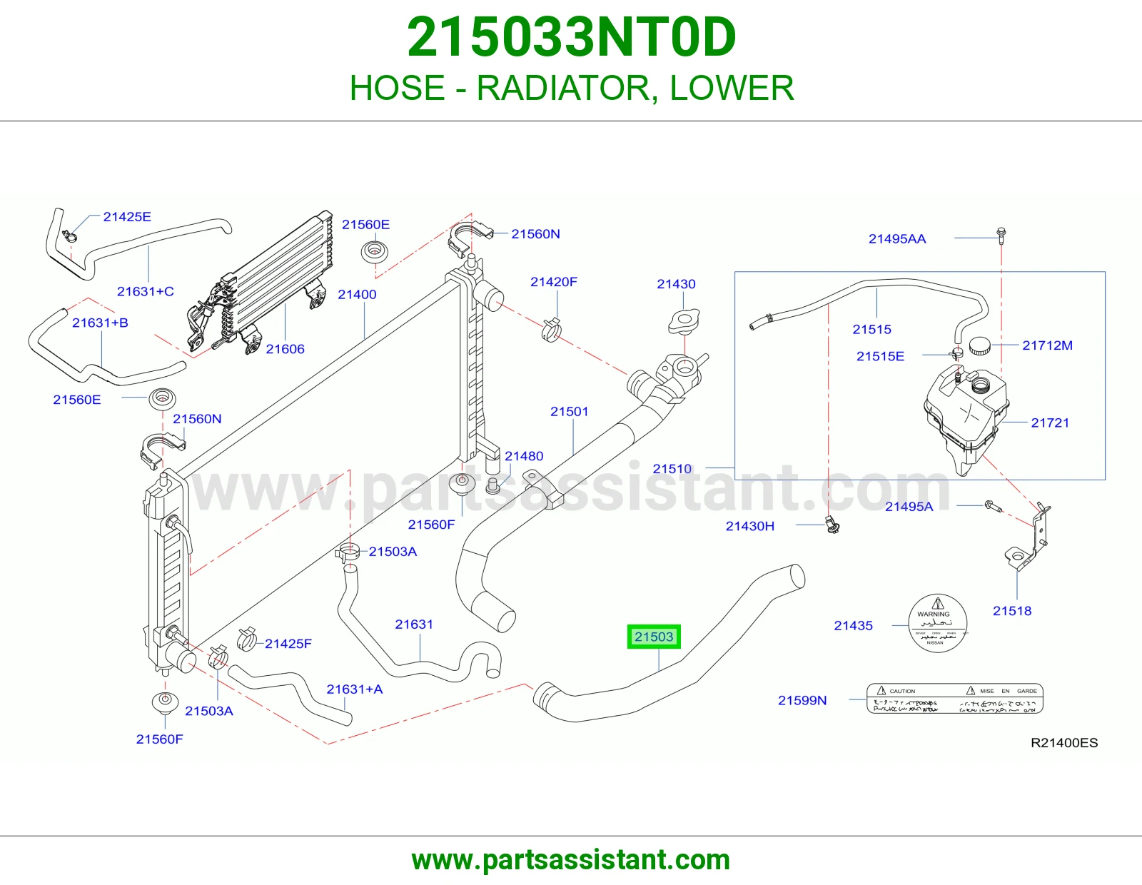 HOSE - RADIATOR, LOWER