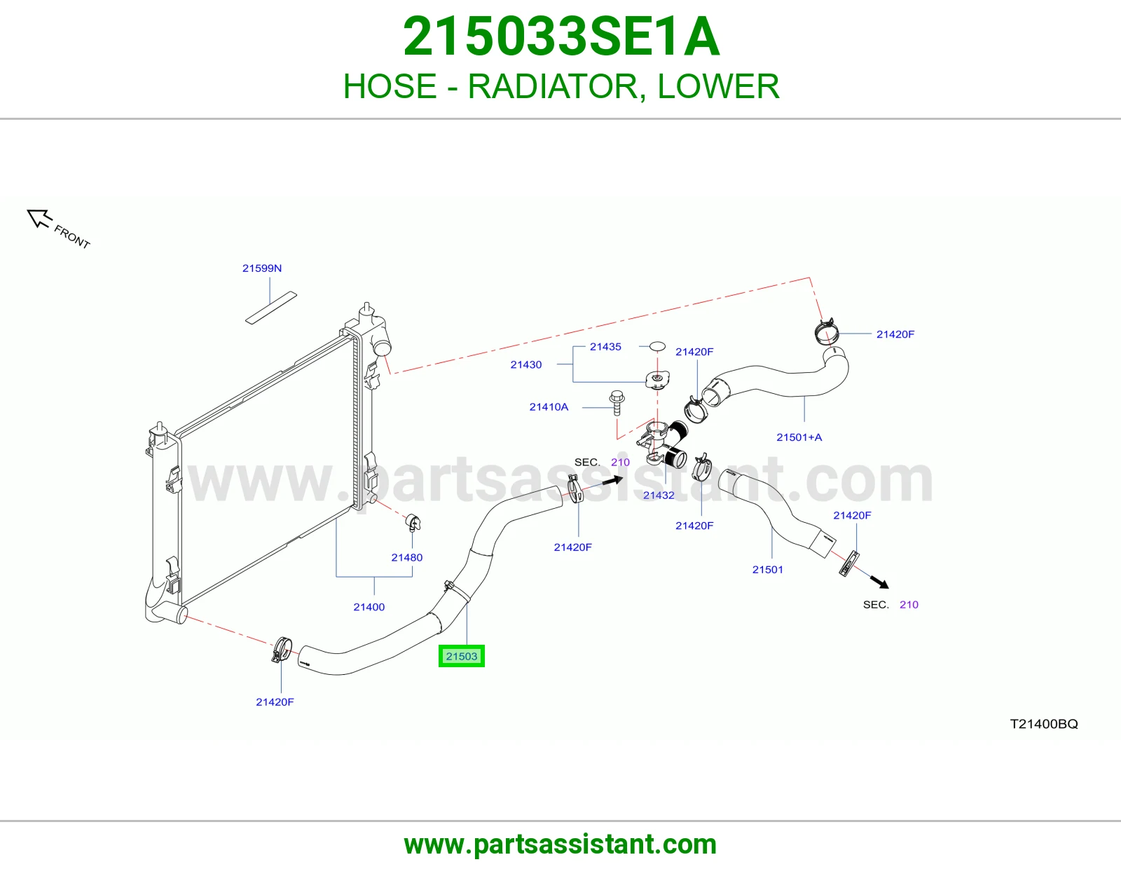 HOSE - RADIATOR, LOWER