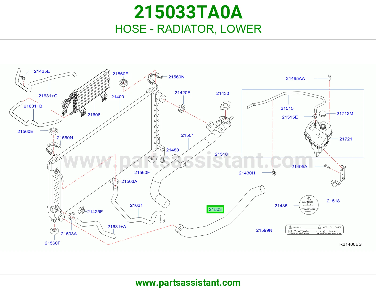 HOSE - RADIATOR, LOWER