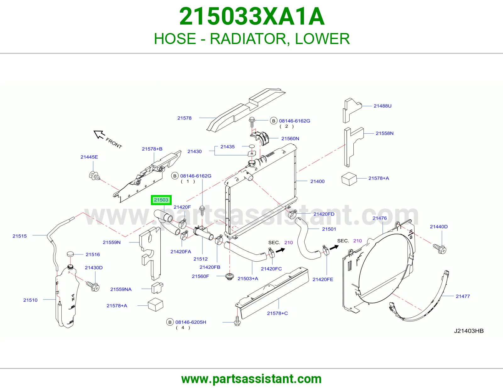 HOSE - RADIATOR, LOWER