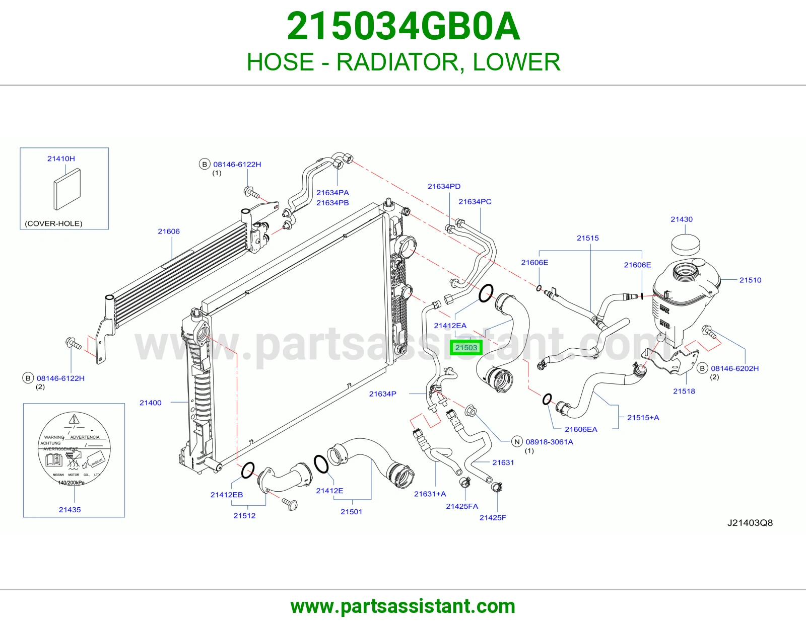 HOSE - RADIATOR, LOWER