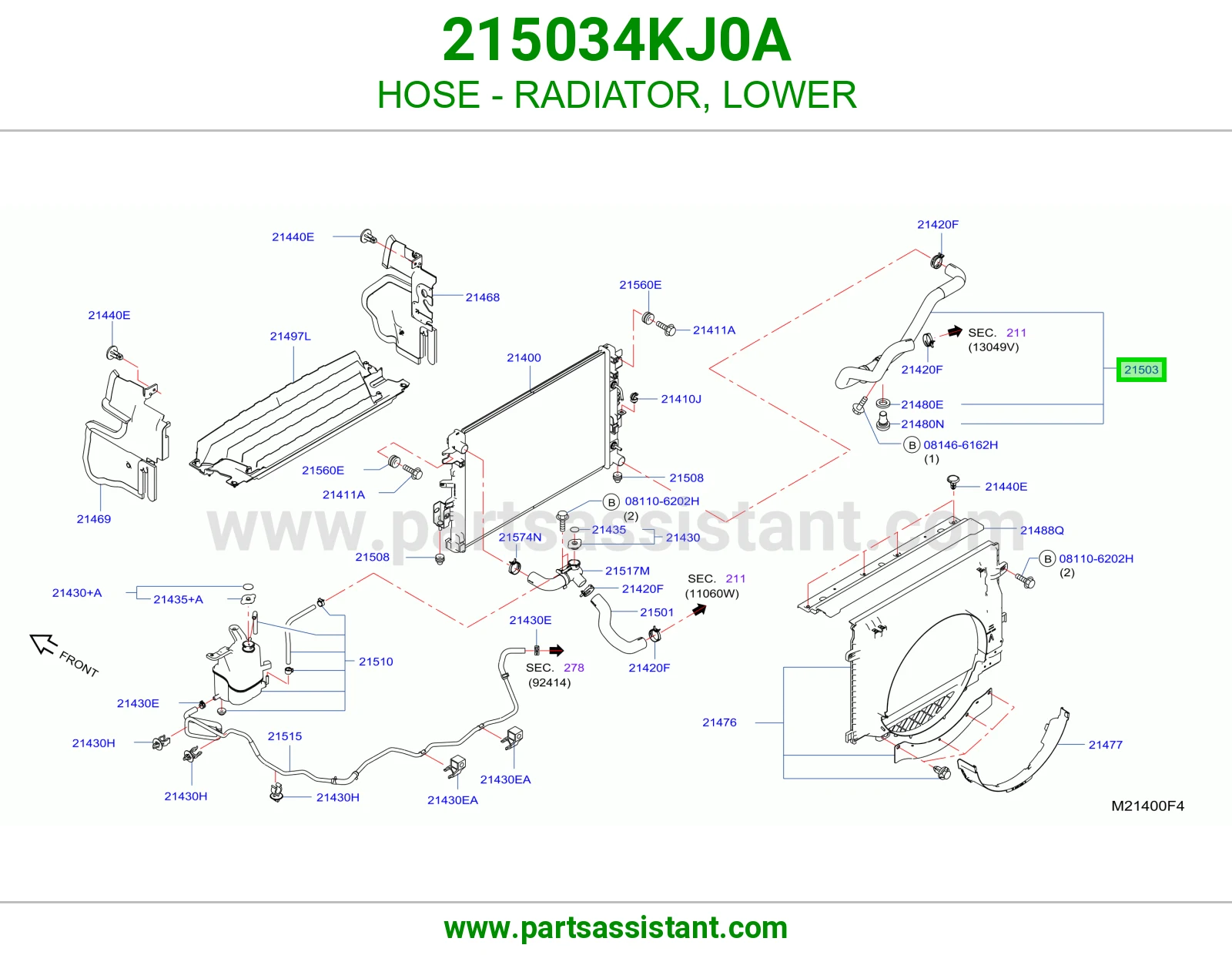 HOSE - RADIATOR, LOWER