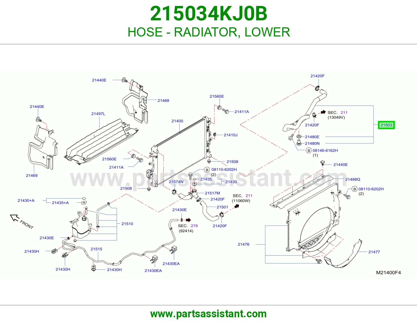 HOSE - RADIATOR, LOWER