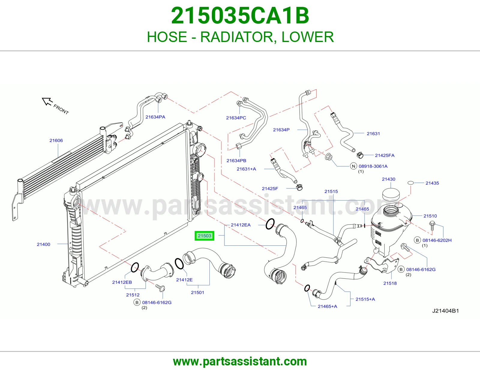 HOSE - RADIATOR, LOWER