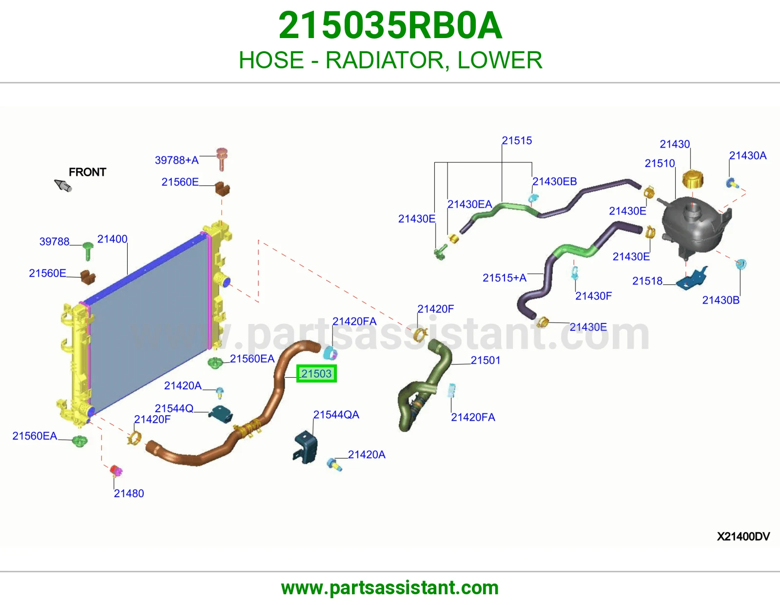 HOSE - RADIATOR, LOWER