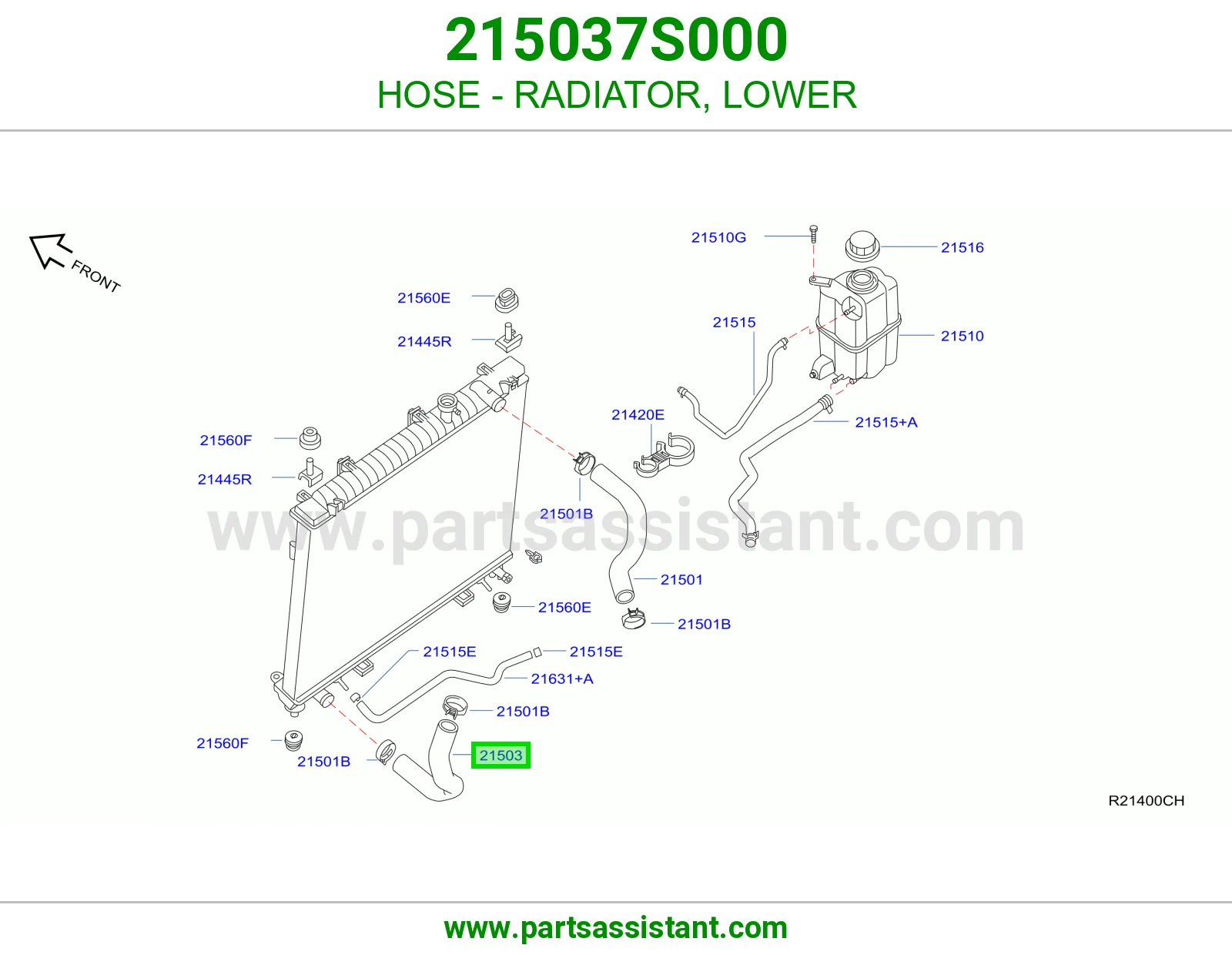HOSE - RADIATOR, LOWER