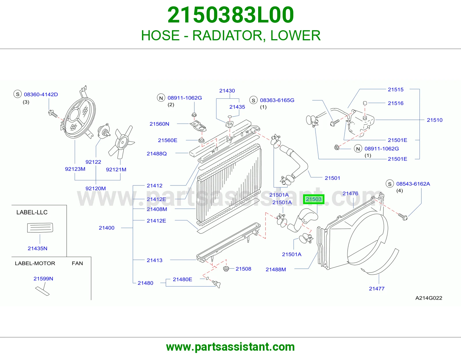 HOSE - RADIATOR, LOWER