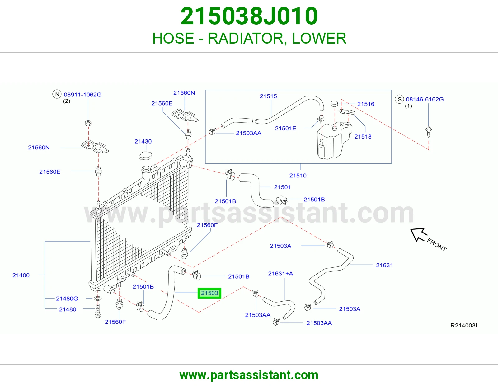 HOSE - RADIATOR, LOWER