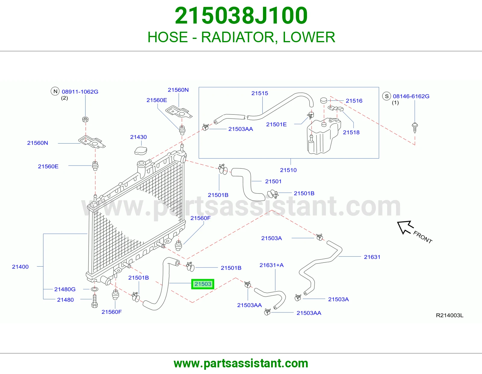 HOSE - RADIATOR, LOWER