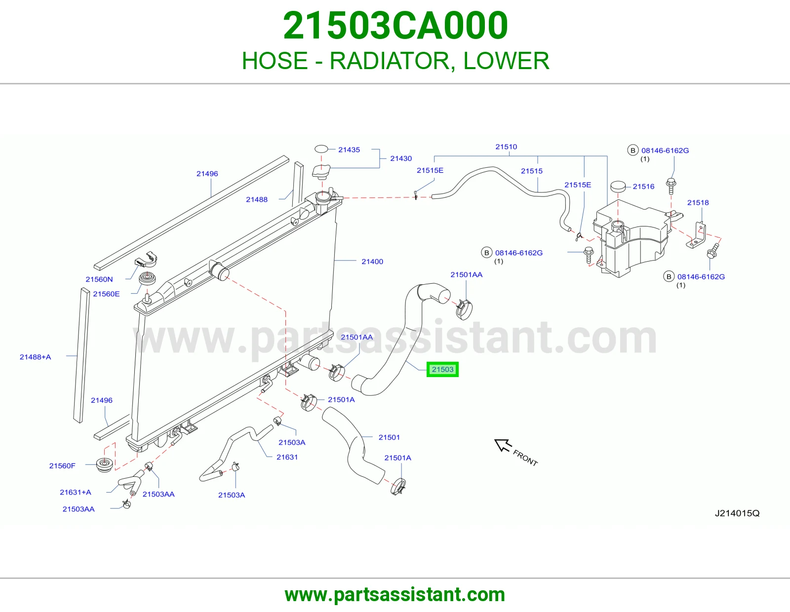HOSE - RADIATOR, LOWER