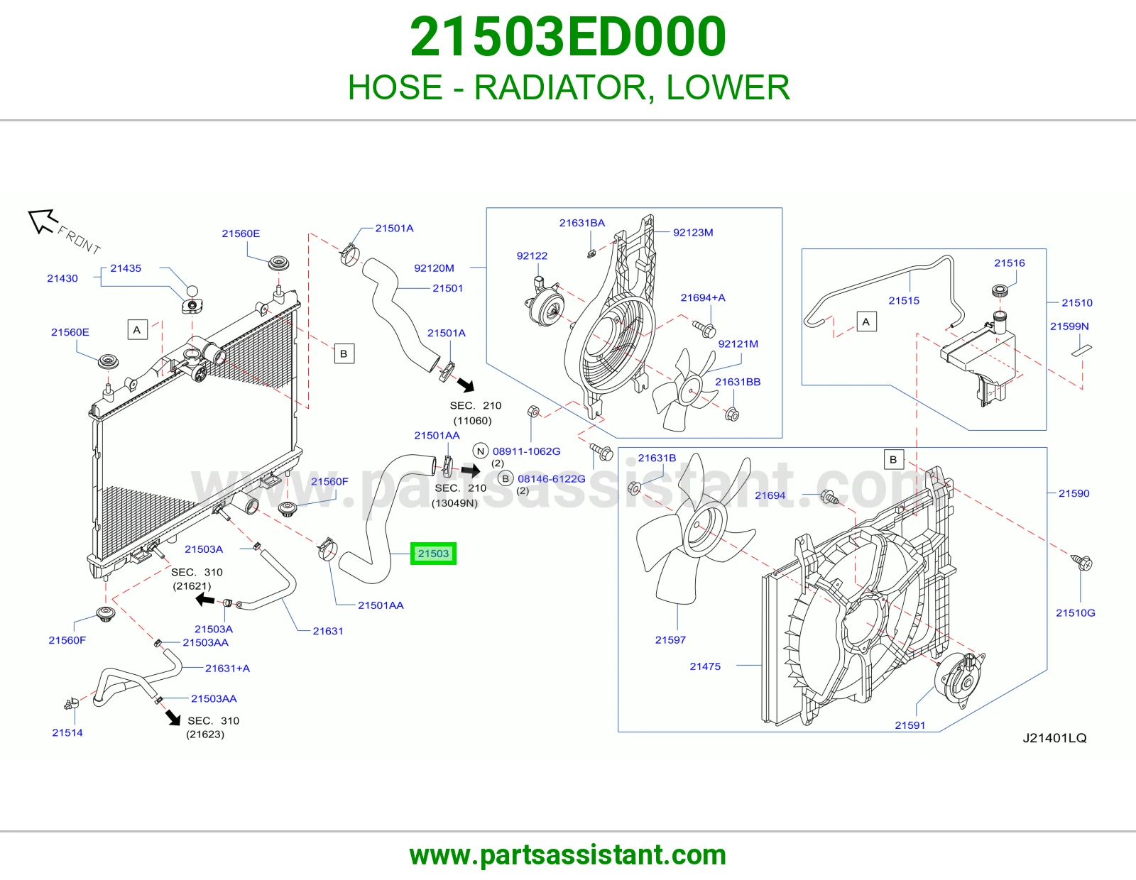 HOSE - RADIATOR, LOWER