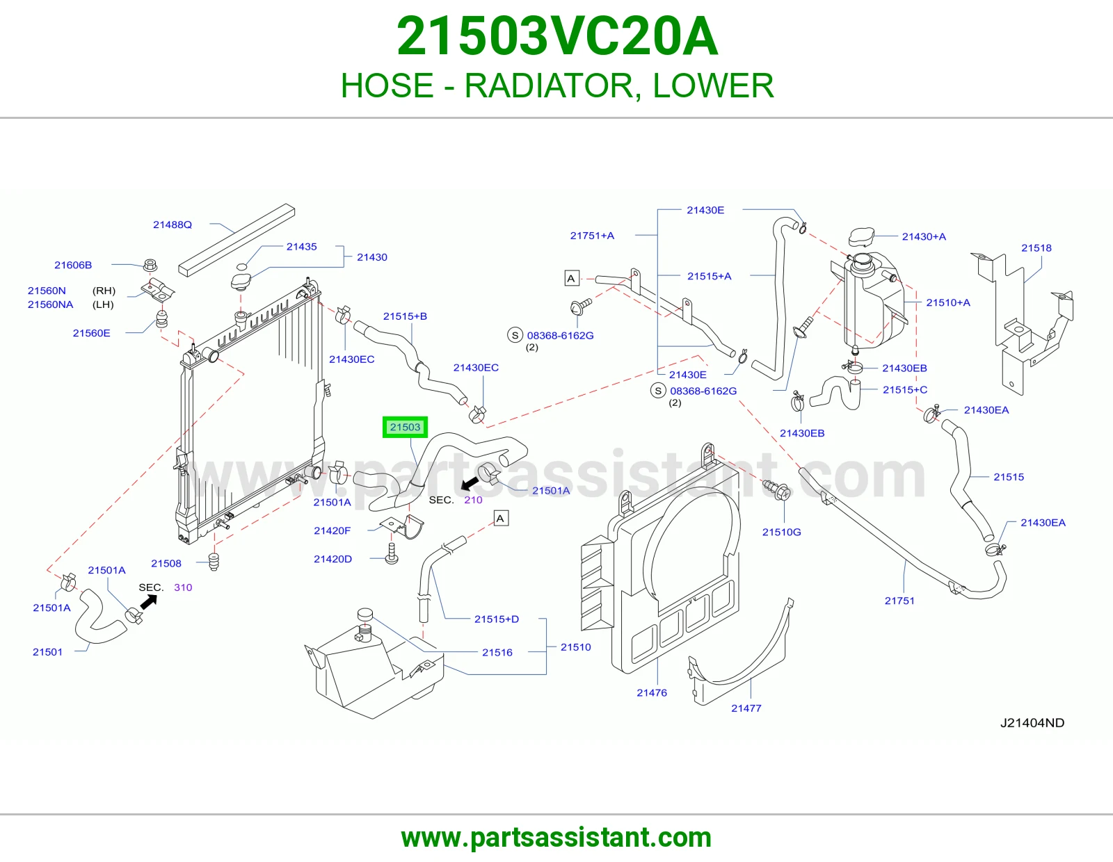 HOSE - RADIATOR, LOWER