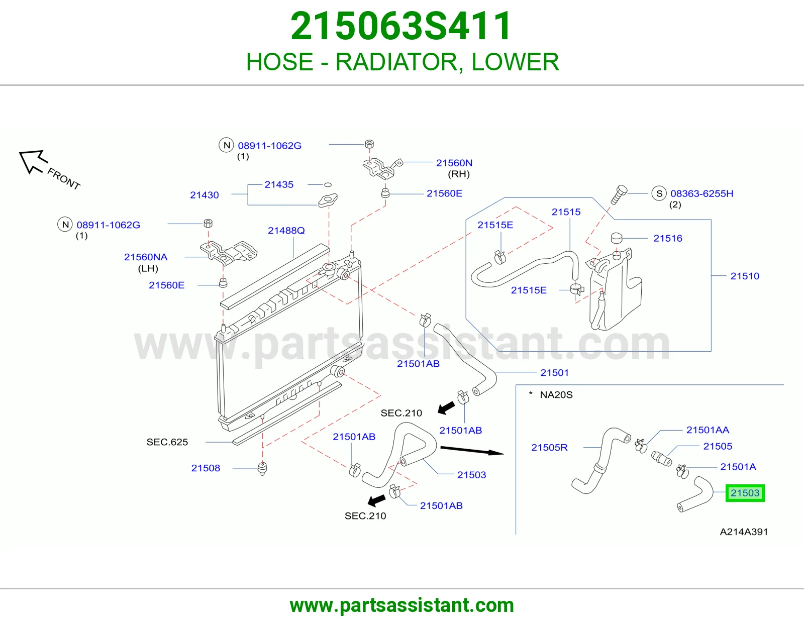 HOSE - RADIATOR, LOWER