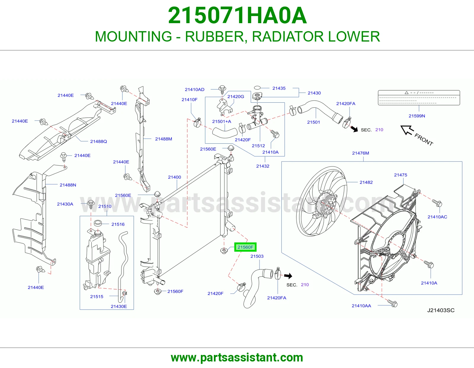 MOUNTING - RUBBER, RADIATOR LOWER