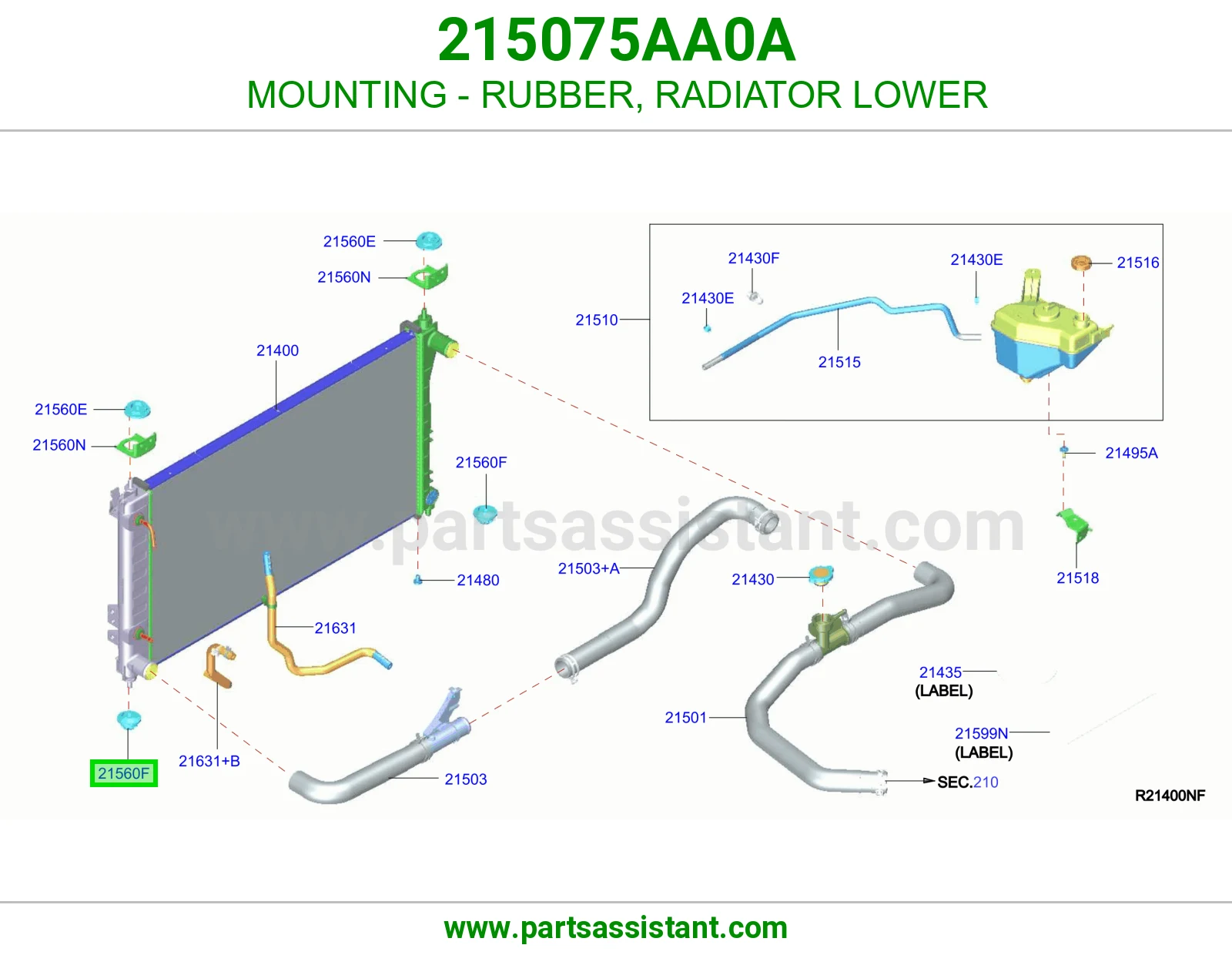 MOUNTING - RUBBER, RADIATOR LOWER