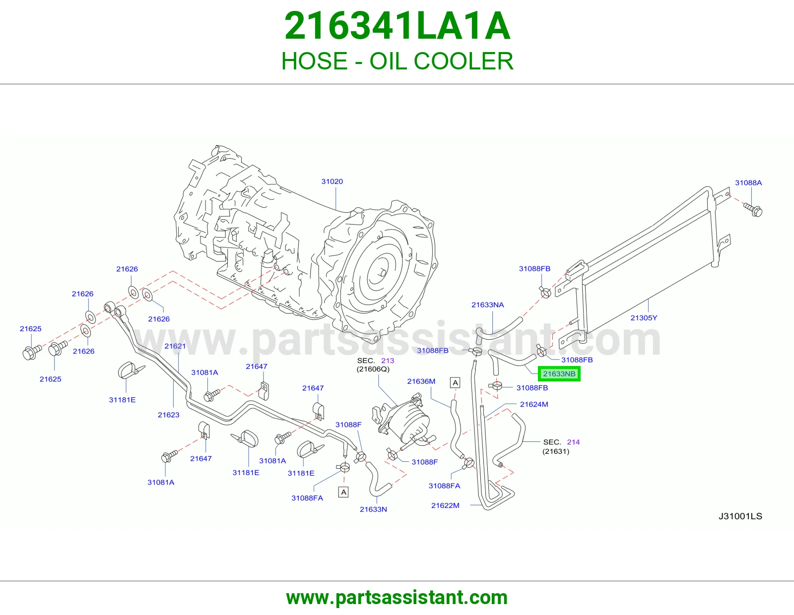 HOSE - OIL COOLER