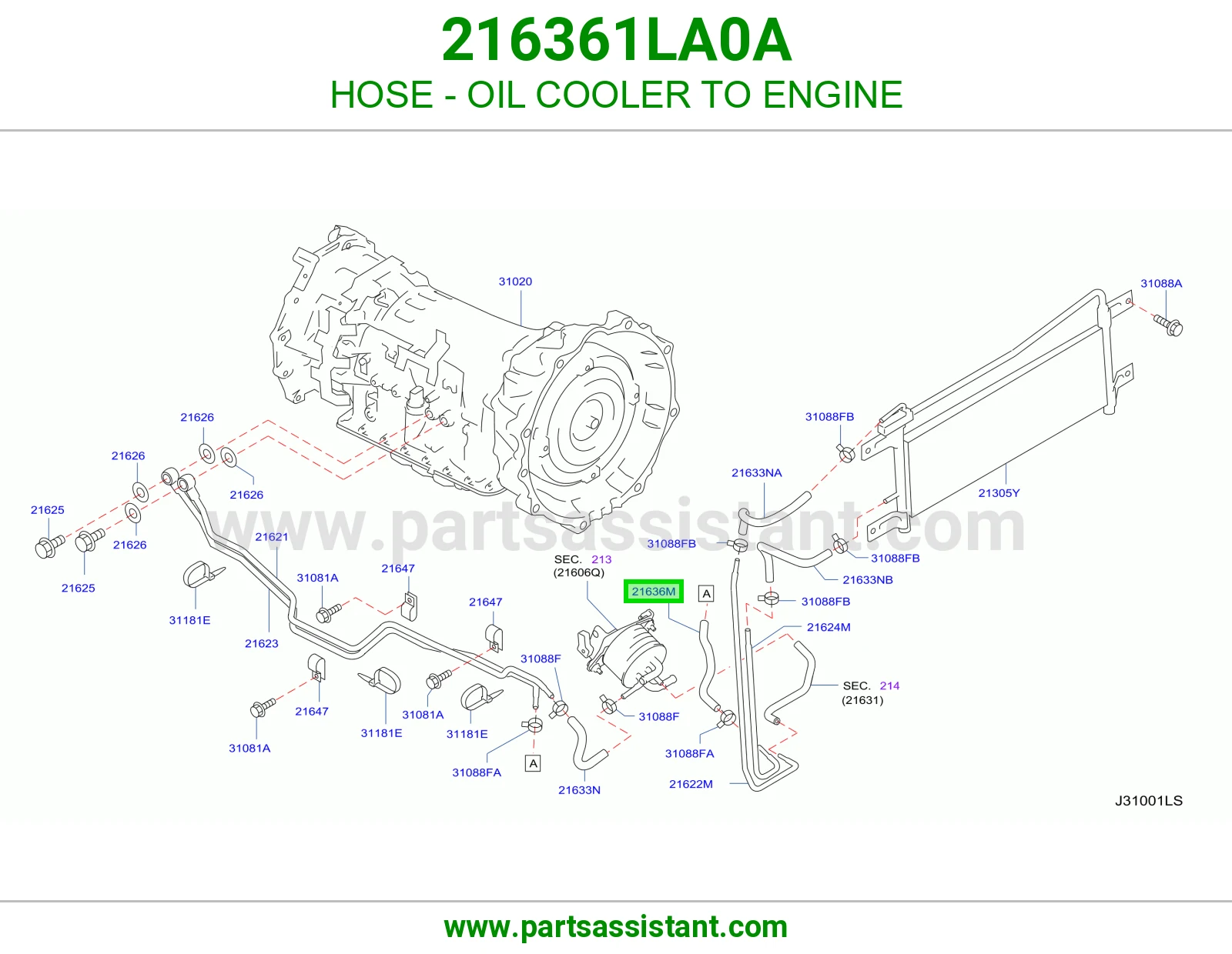 HOSE - OIL COOLER TO ENGINE
