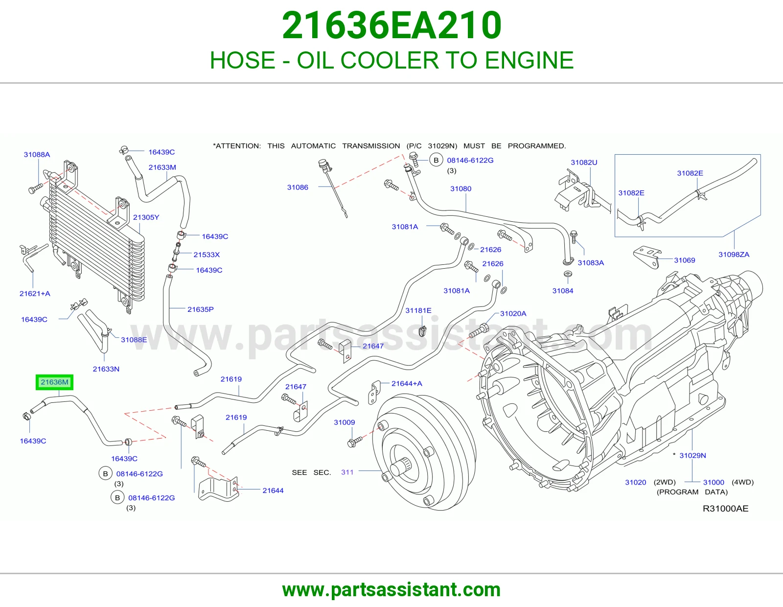 HOSE - OIL COOLER TO ENGINE