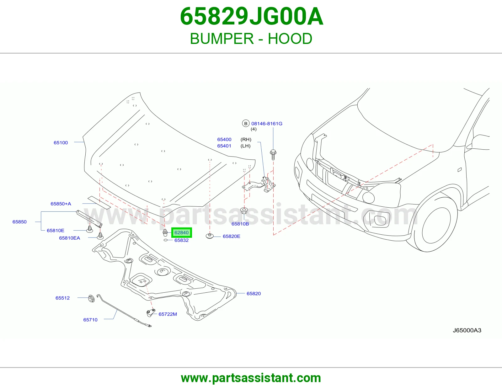 BUMPER - HOOD