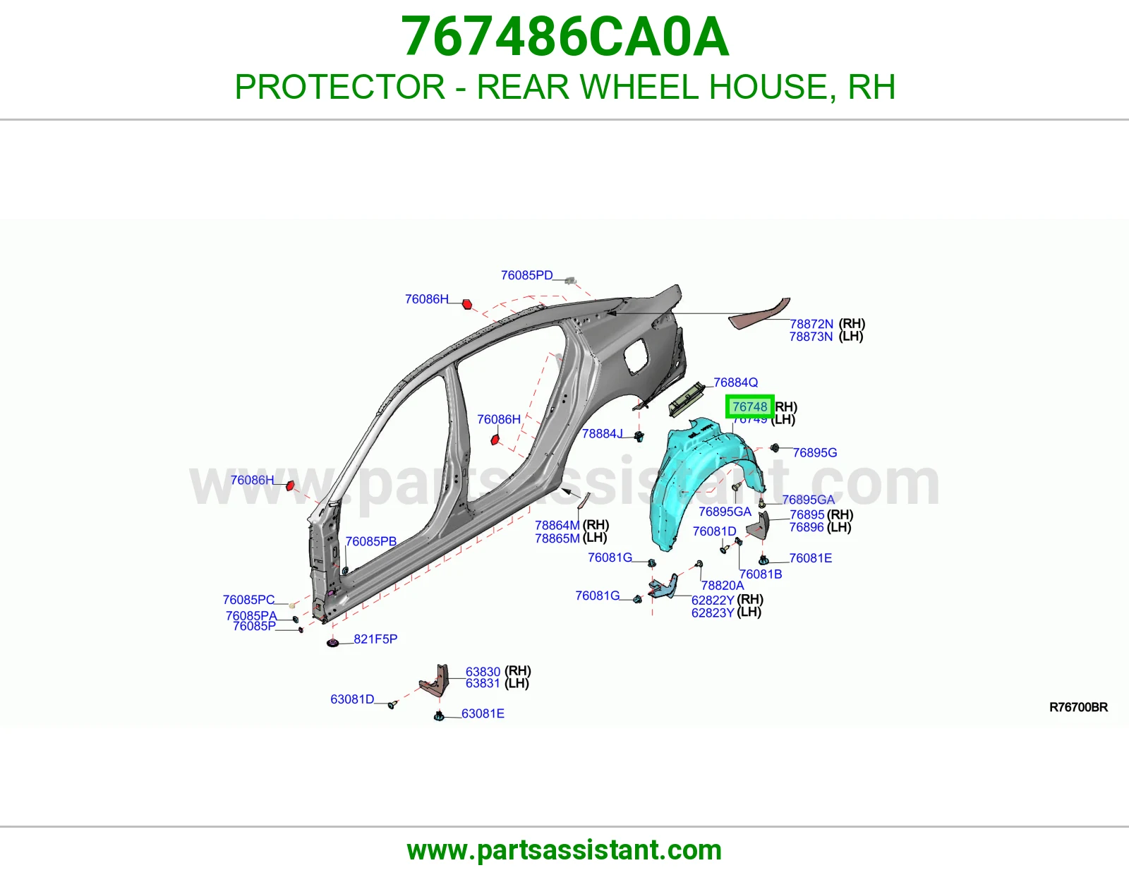 PROTECTOR - REAR WHEEL HOUSE, RH