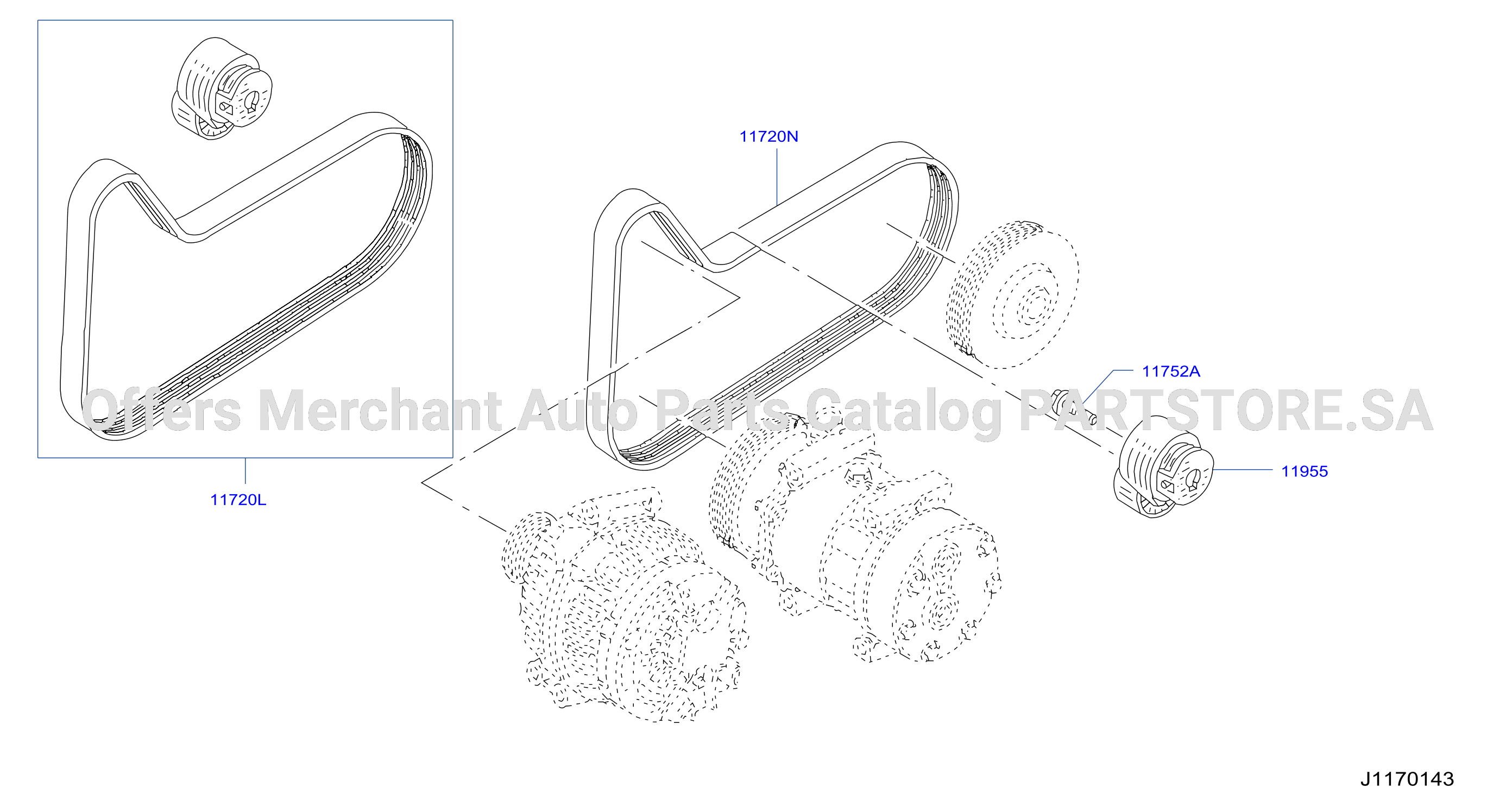 Fan Compressor Power Steering Belt