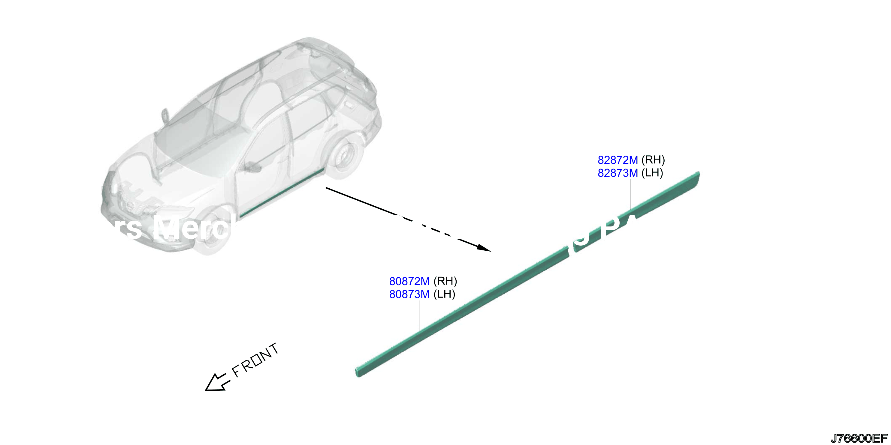 Body Side Moulding