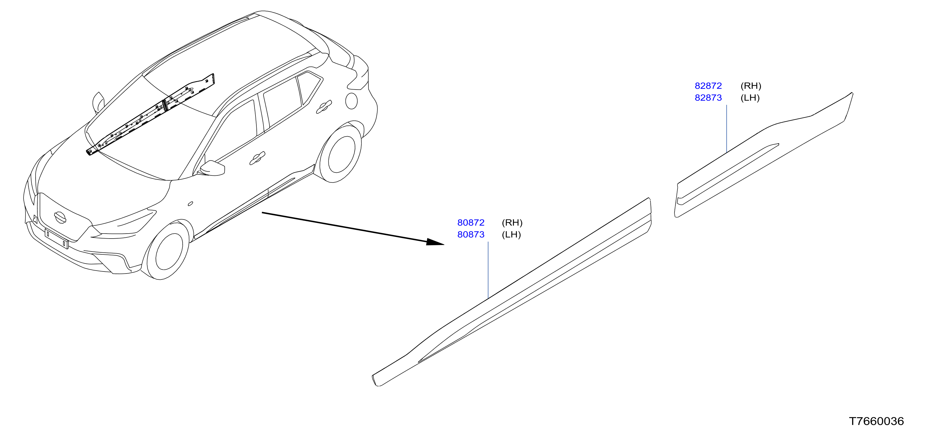 Body Side Moulding