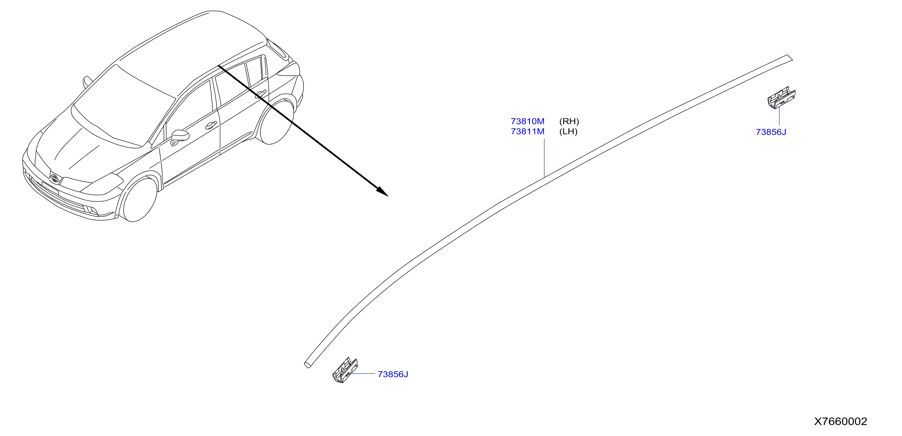 Body Side Moulding