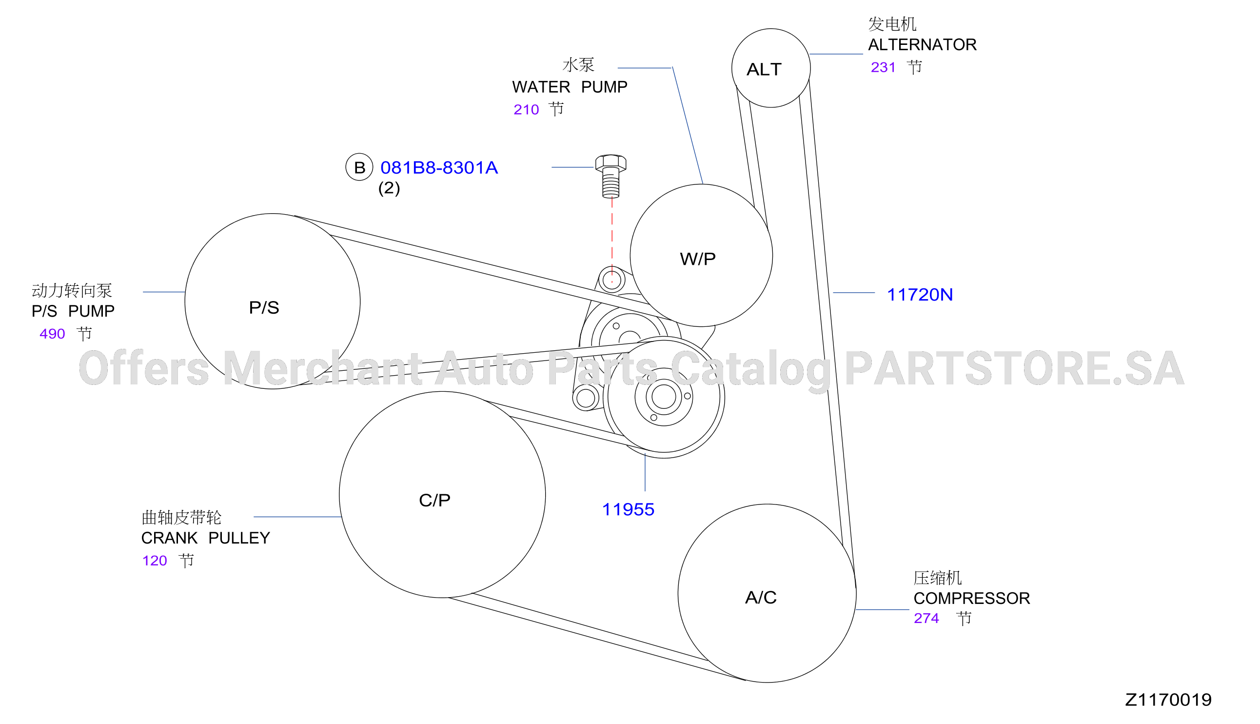Fan Compressor Power Steering Belt