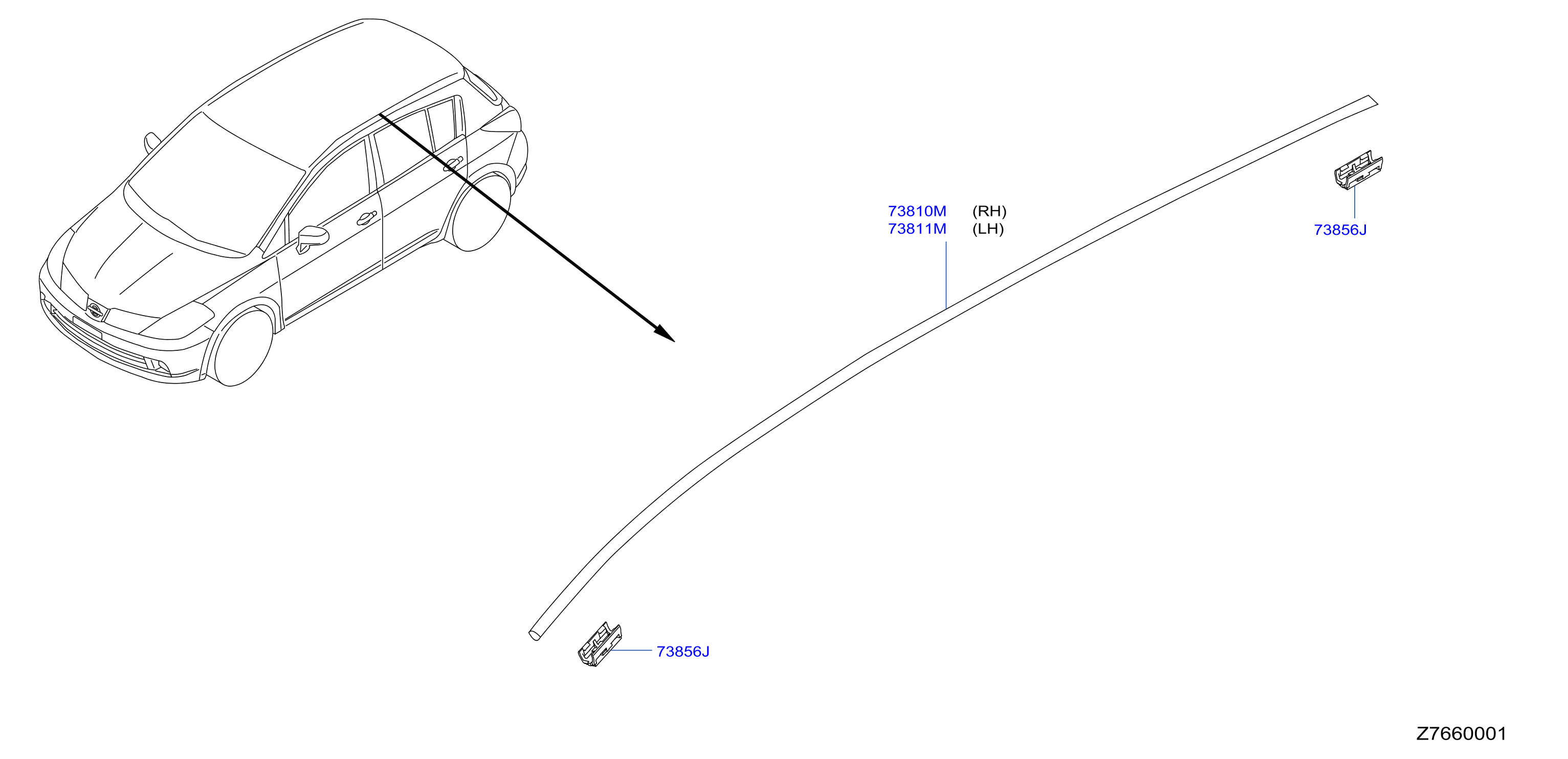 Body Side Moulding