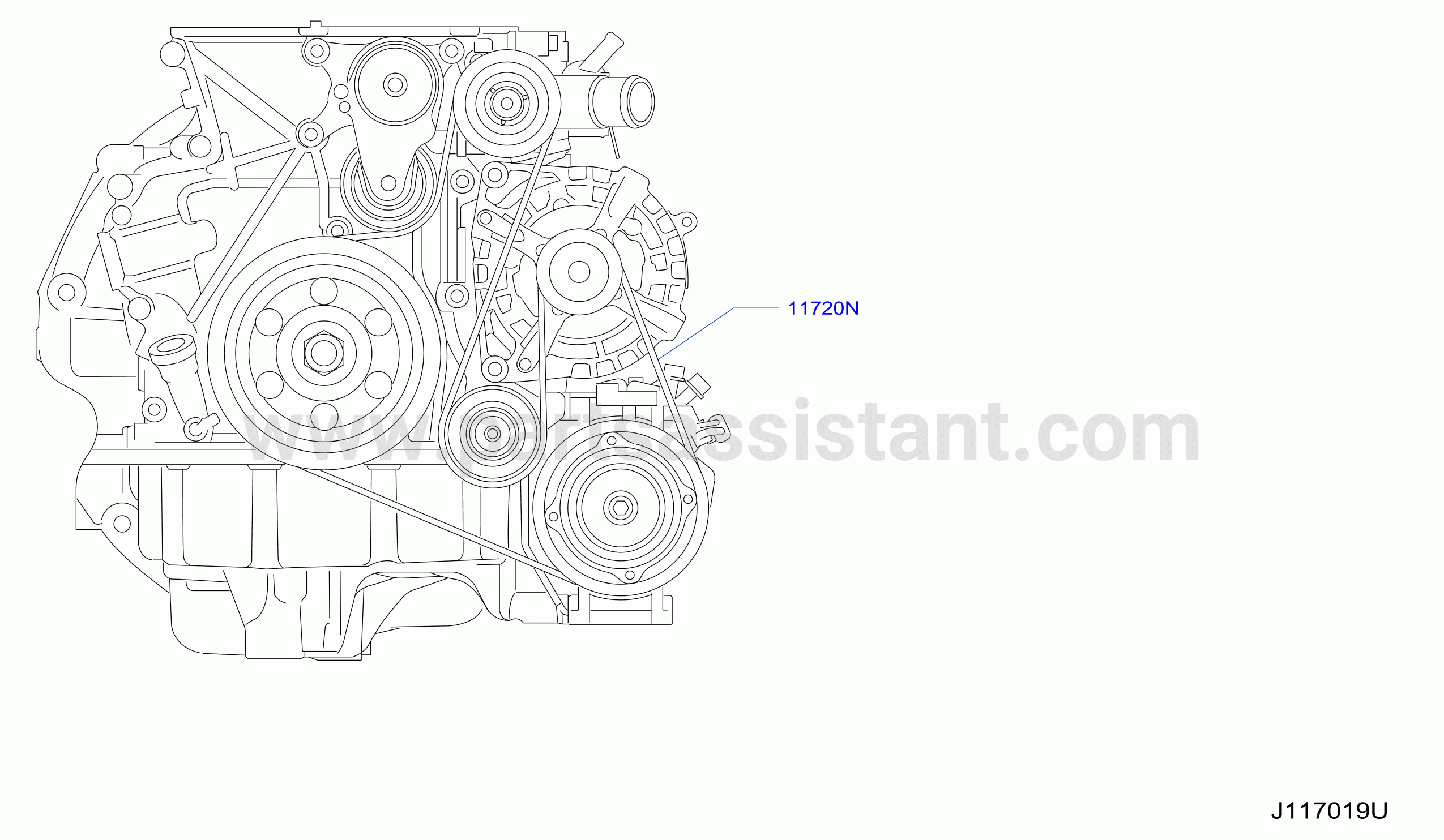 Fan Compressor Power Steering Belt Belt Altntr