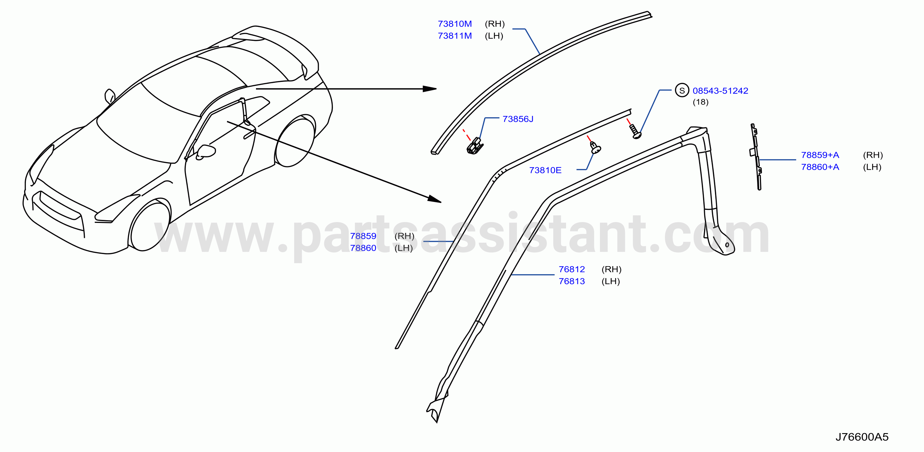 Body Side Moulding Std